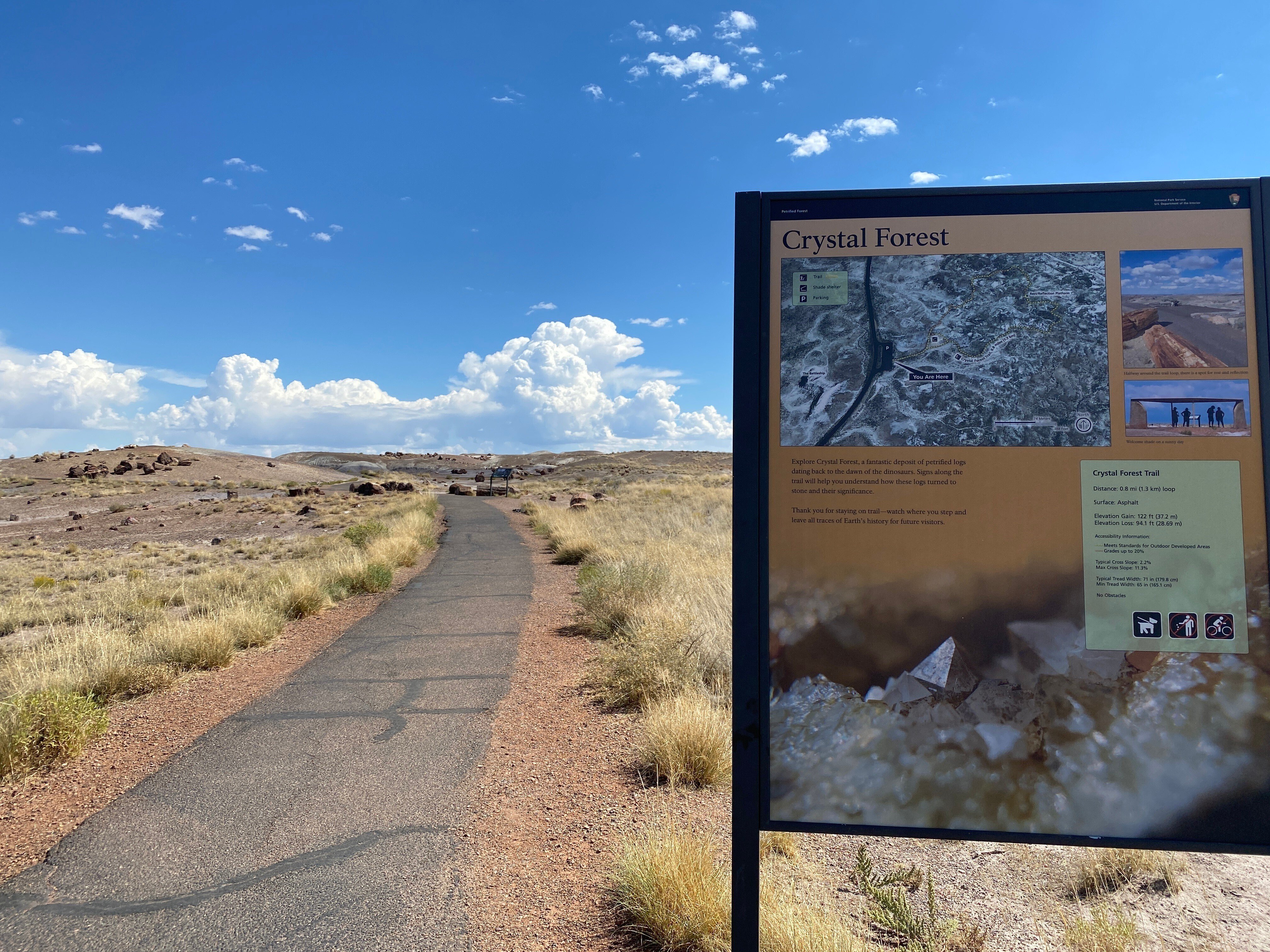 化石の森国立公園(Petrified Forest National Park 化石の森国立公園(Petrified Forest National Park