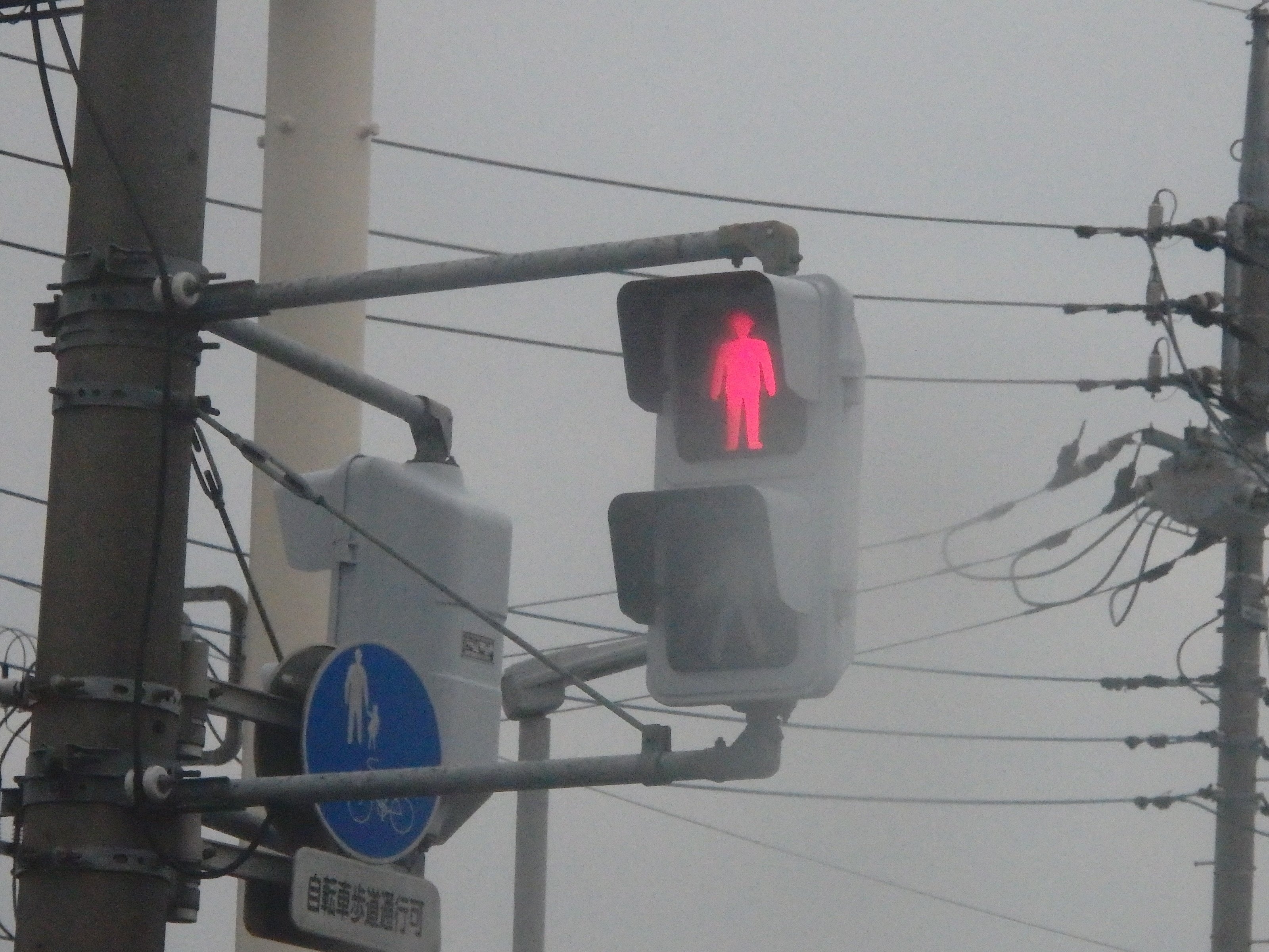 前橋東-97】前橋市西善町にあるオール星和電機厚型(3位灯・歩灯)｜光山