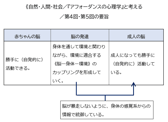 自然・人間・社会/『アフォーダンスの心理学』と考える/8.脳の