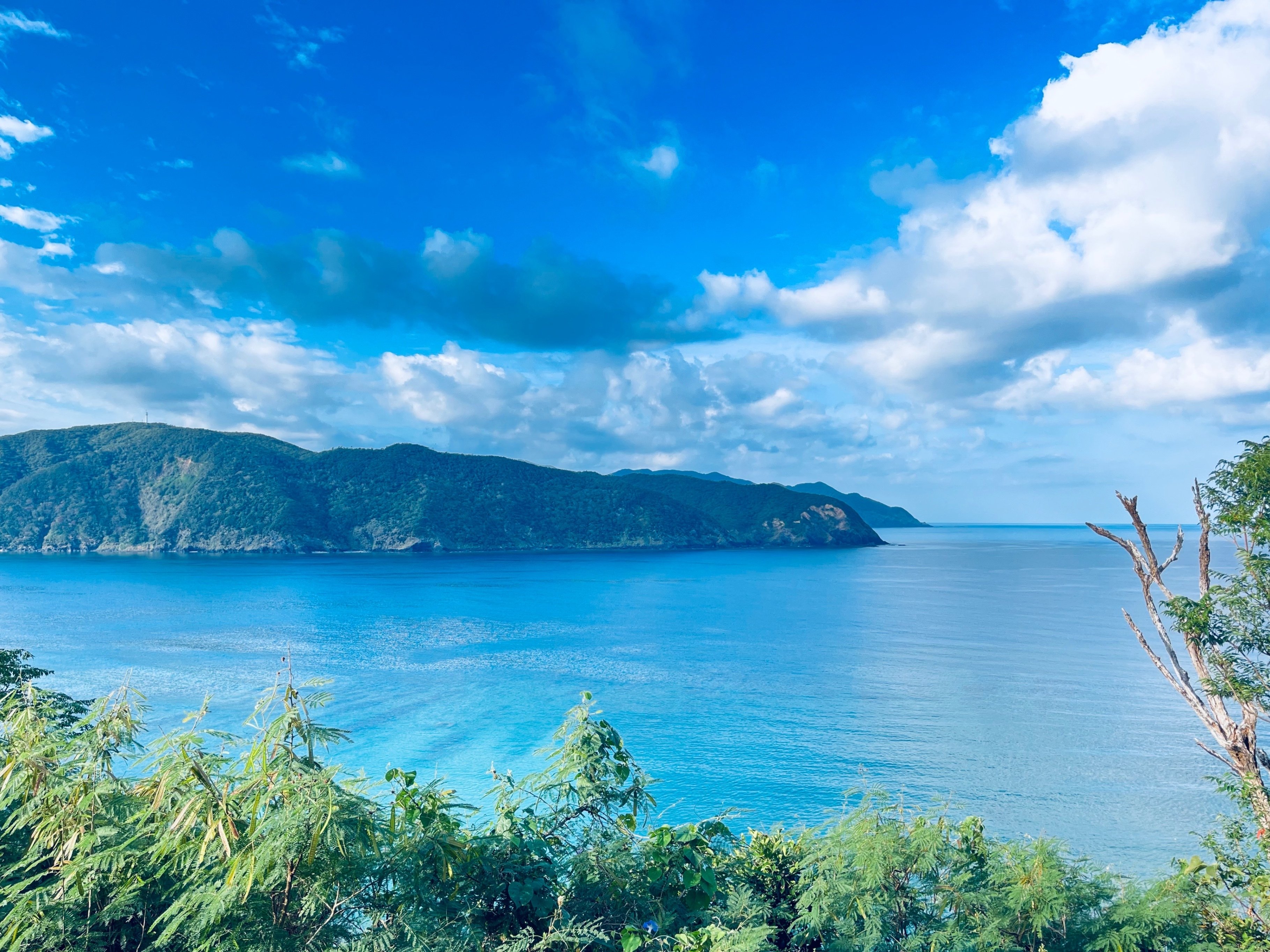 奄美大島旅行 4日目｜yuka sake