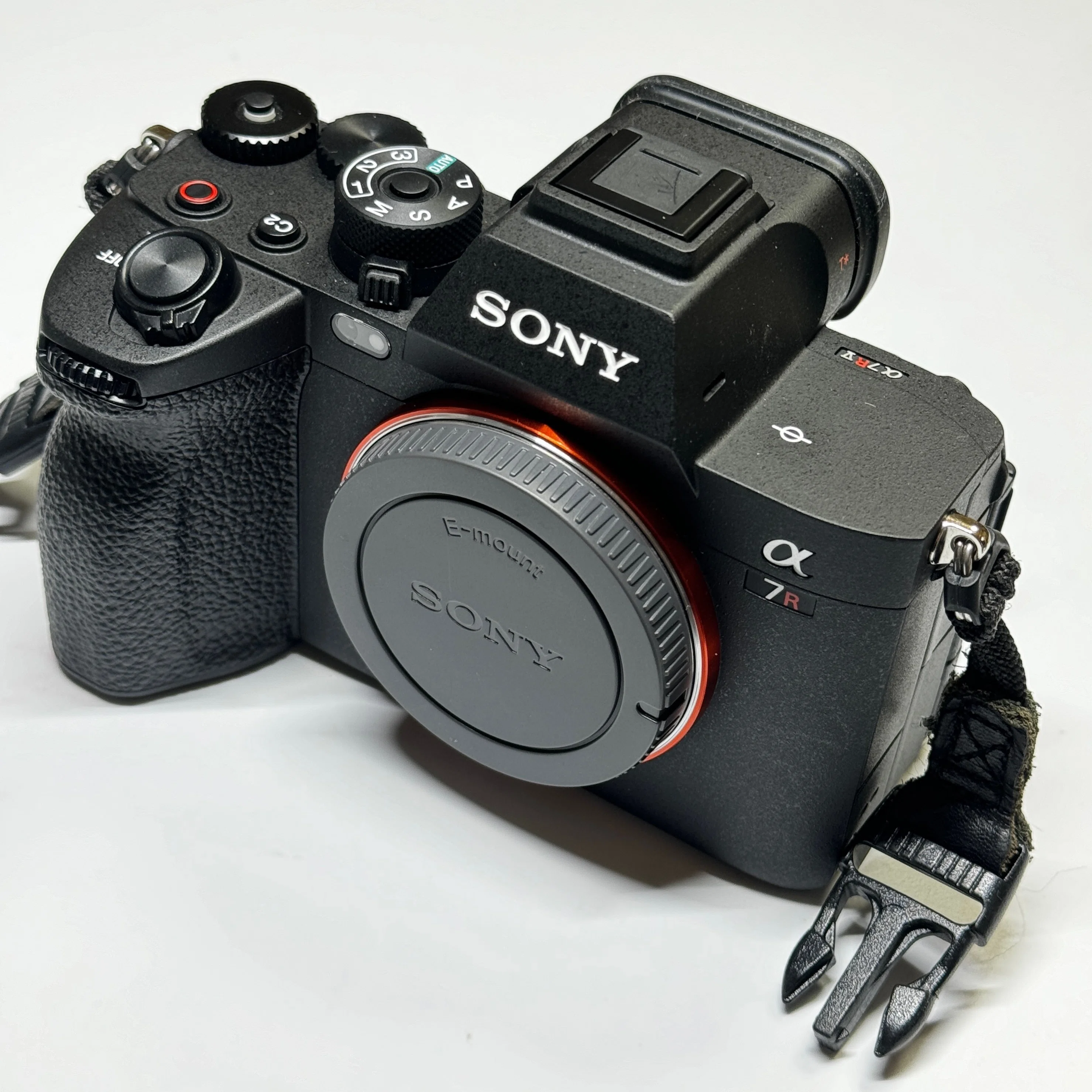 新しいカメラでさんぽ】Sony α7RV+Sigma 65mm/f2｜氏家