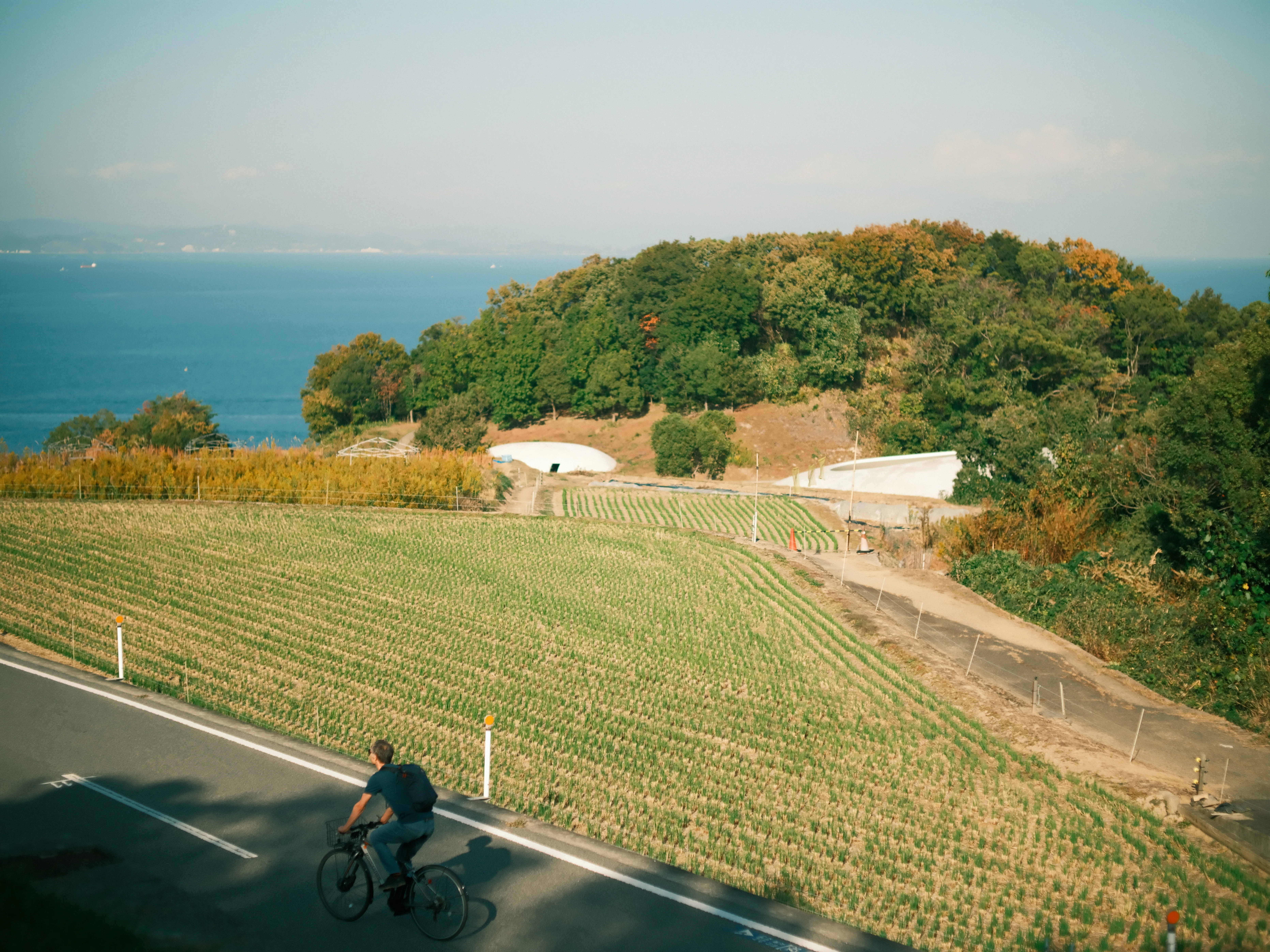写真集】Setouchi Art Journey 「Teshima」｜プラナリア