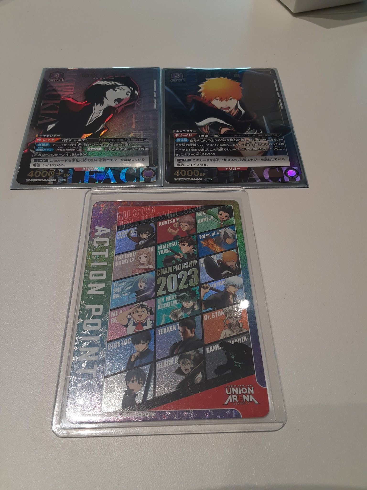 アクションポイント ACTION POINT CHAMPIONSHIP 2023 【公式通販】