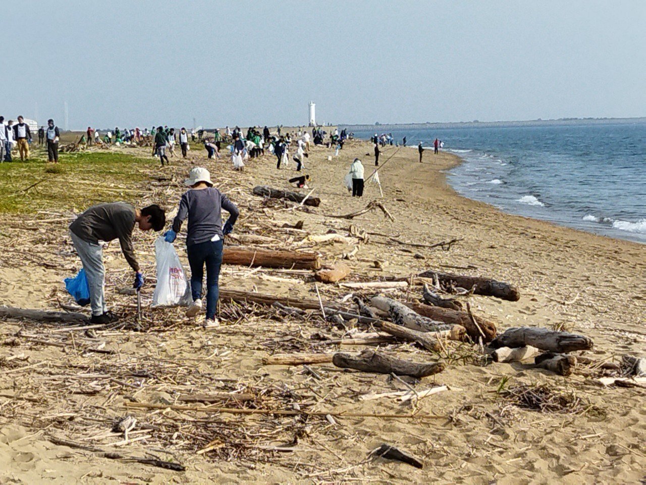 ウェルカメよっかいち“海岸清掃に参加しました！｜日新火災withCaNday