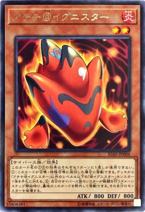 あちち様専用 あちち様専用