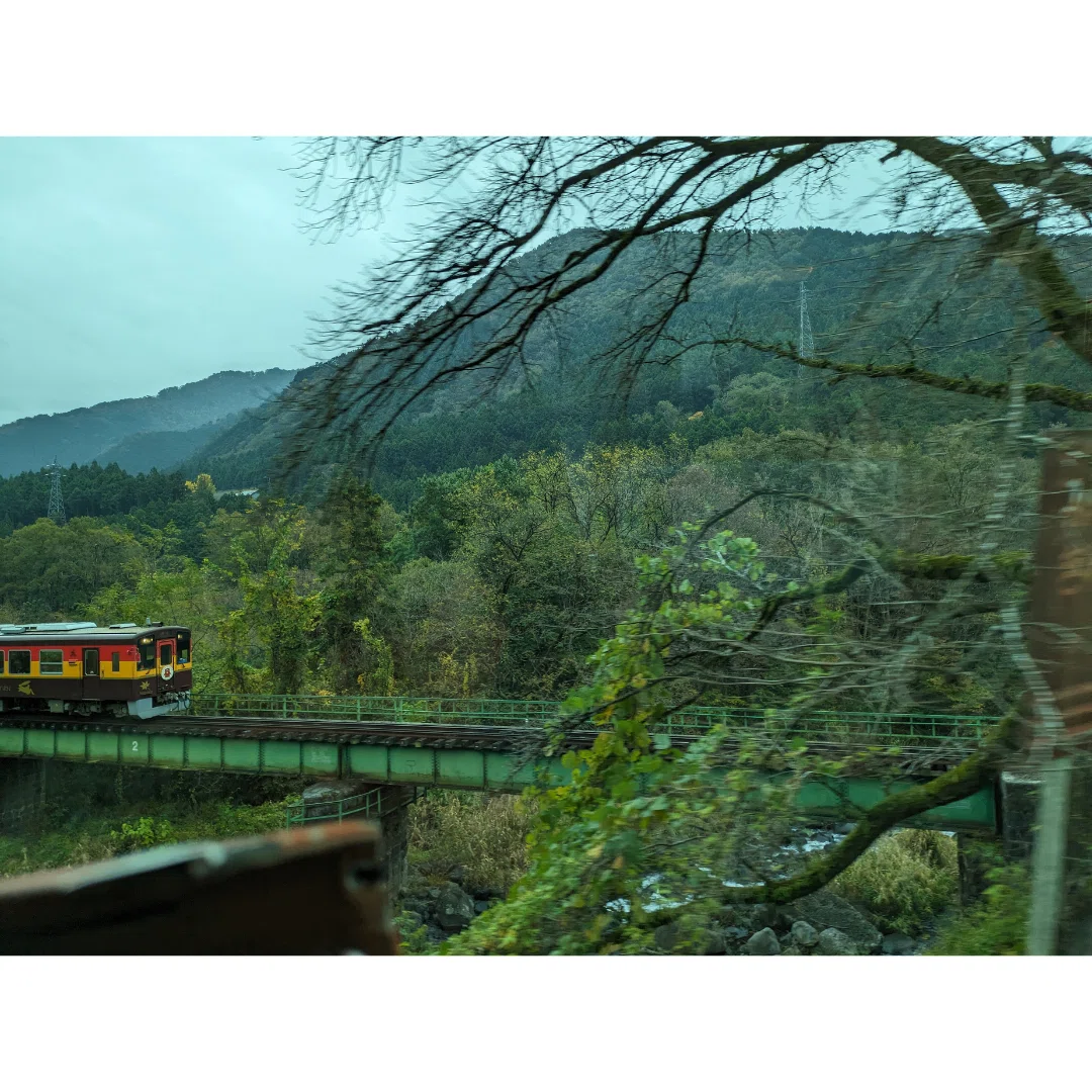 渓谷美／高津戸峡遊歩道】～世界もココロもグラデーションでできている