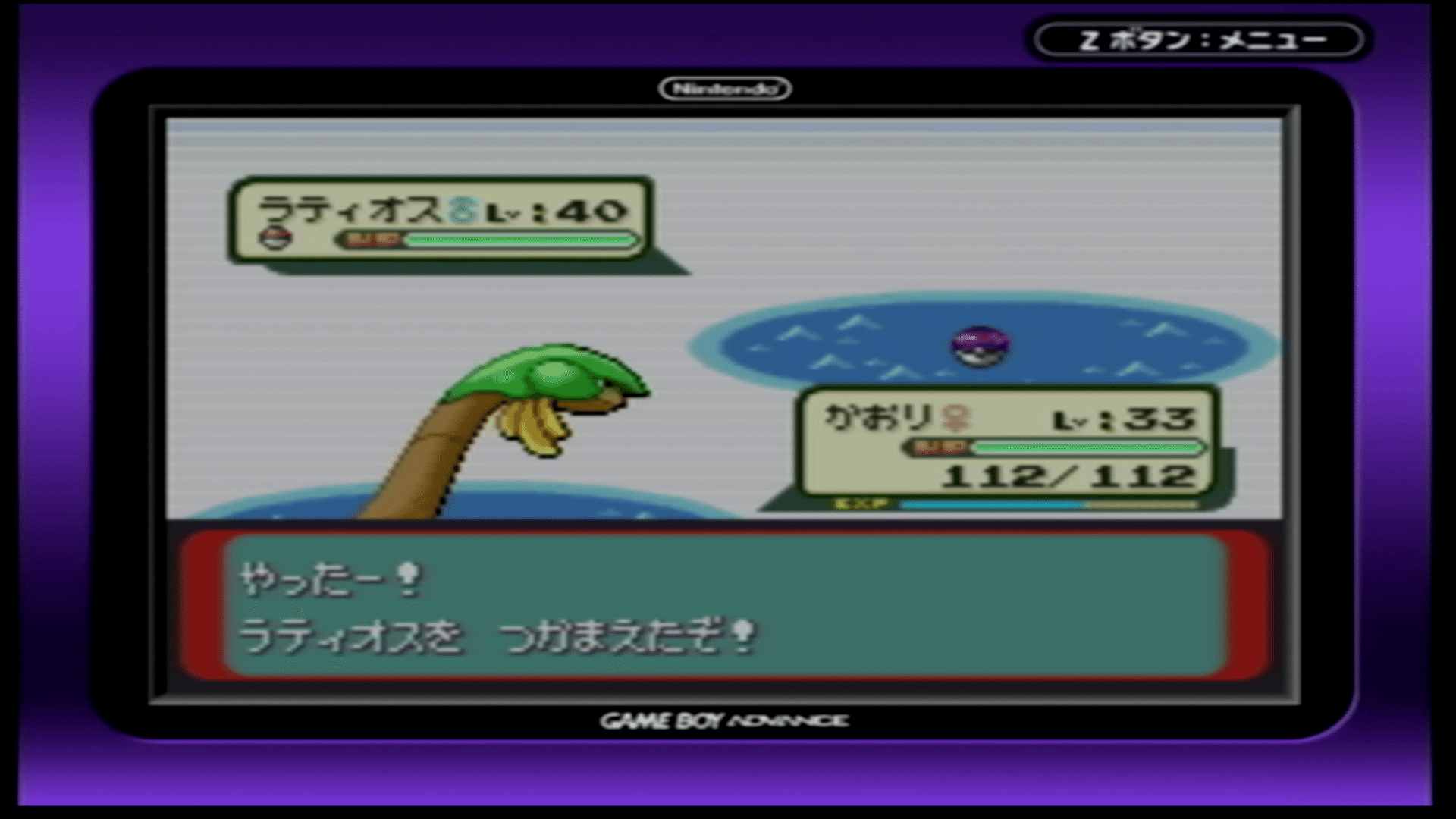 ポケットモンスタールビー むげんのチケット入り 乱数調整済み