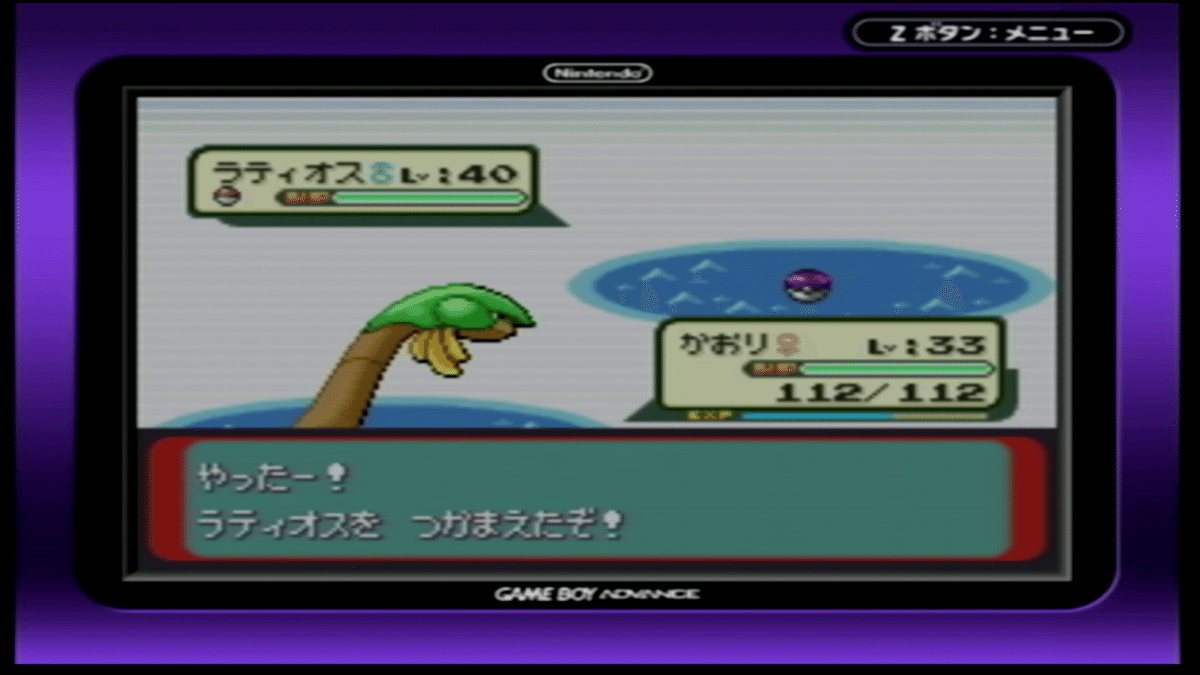 ポケットモンスター エメラルド 育成個体ボックス多数