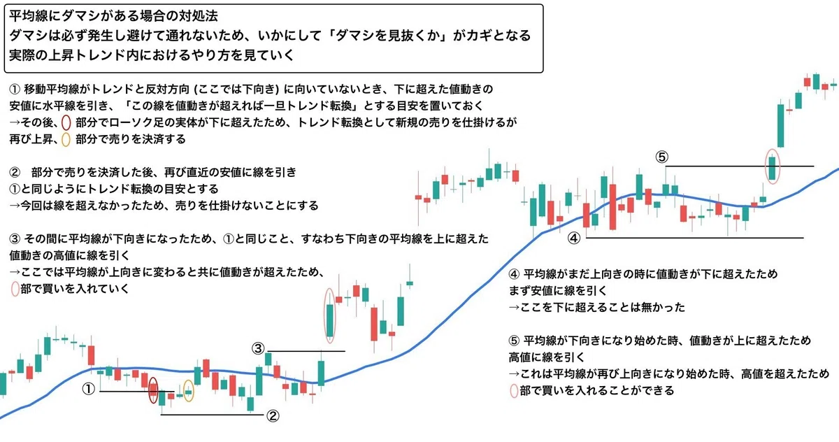 スクイーズ 確認用 50番 スクイーズ確認用の1番の商品説明を必読
