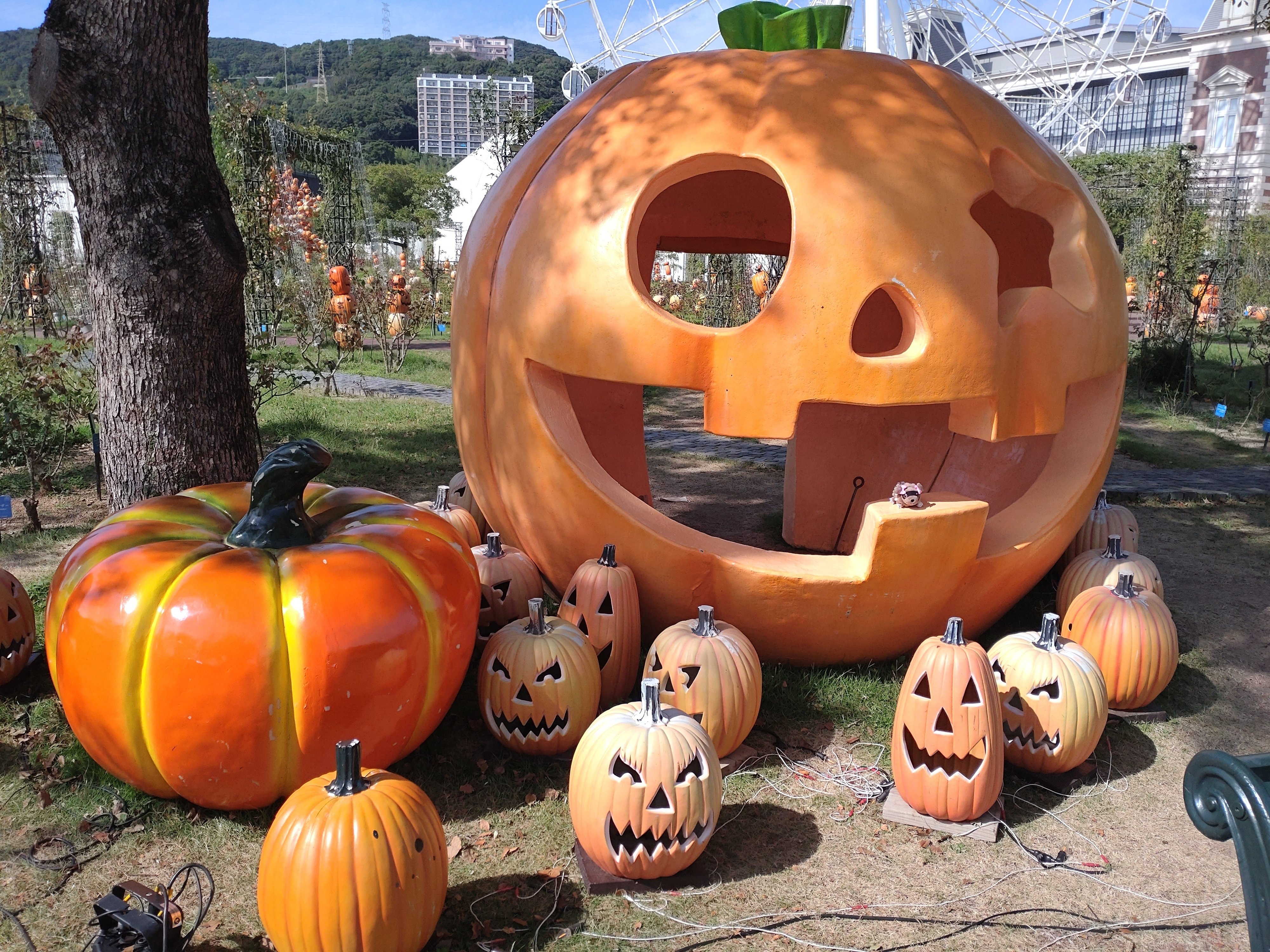 2023/10/13🐰ハウステンボス ナインチェカフェ 「わくわくミッフィー