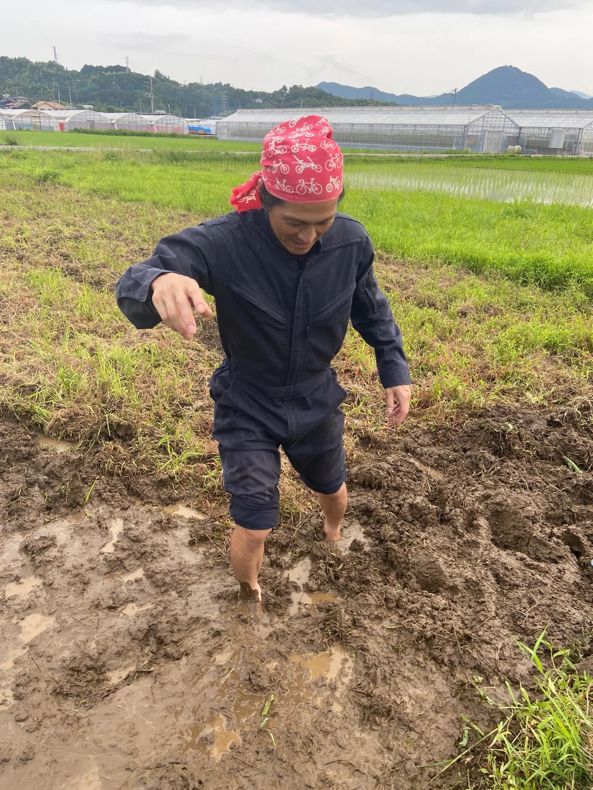 Rice Racking Yayoi Rice Farming! Rice Lab