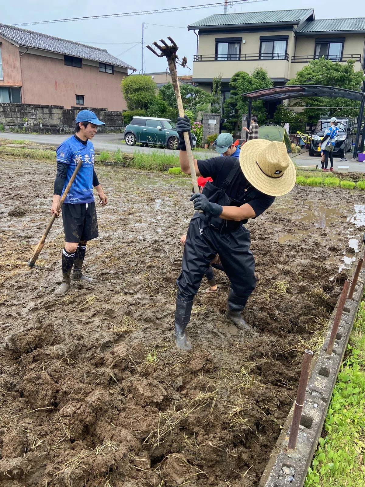Rice Racking Yayoi Rice Farming! Rice Lab
