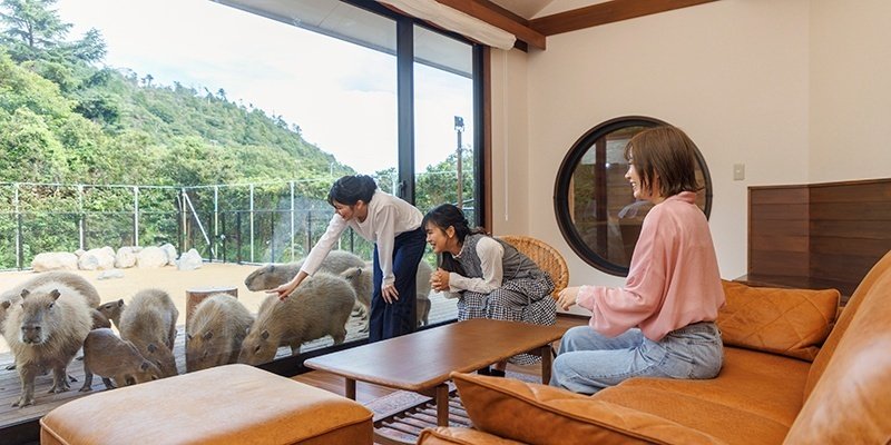 伊豆リゾートヴィラに、カピバラと泊まれる「アニマルヴィラ＆BOOK
