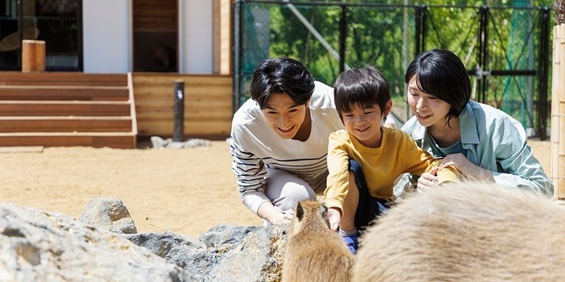 伊豆リゾートヴィラに、カピバラと泊まれる「アニマルヴィラ＆BOOK