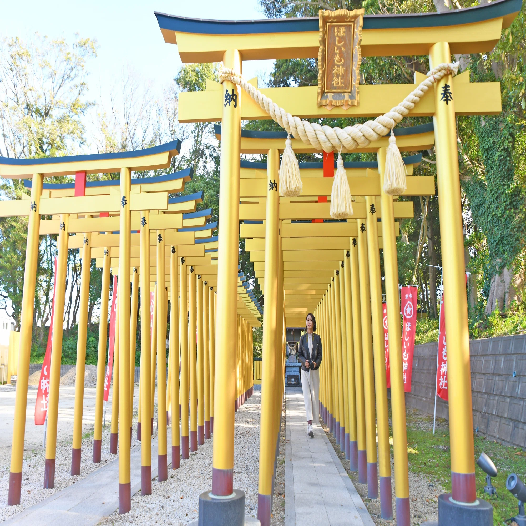 ほしい も 神社