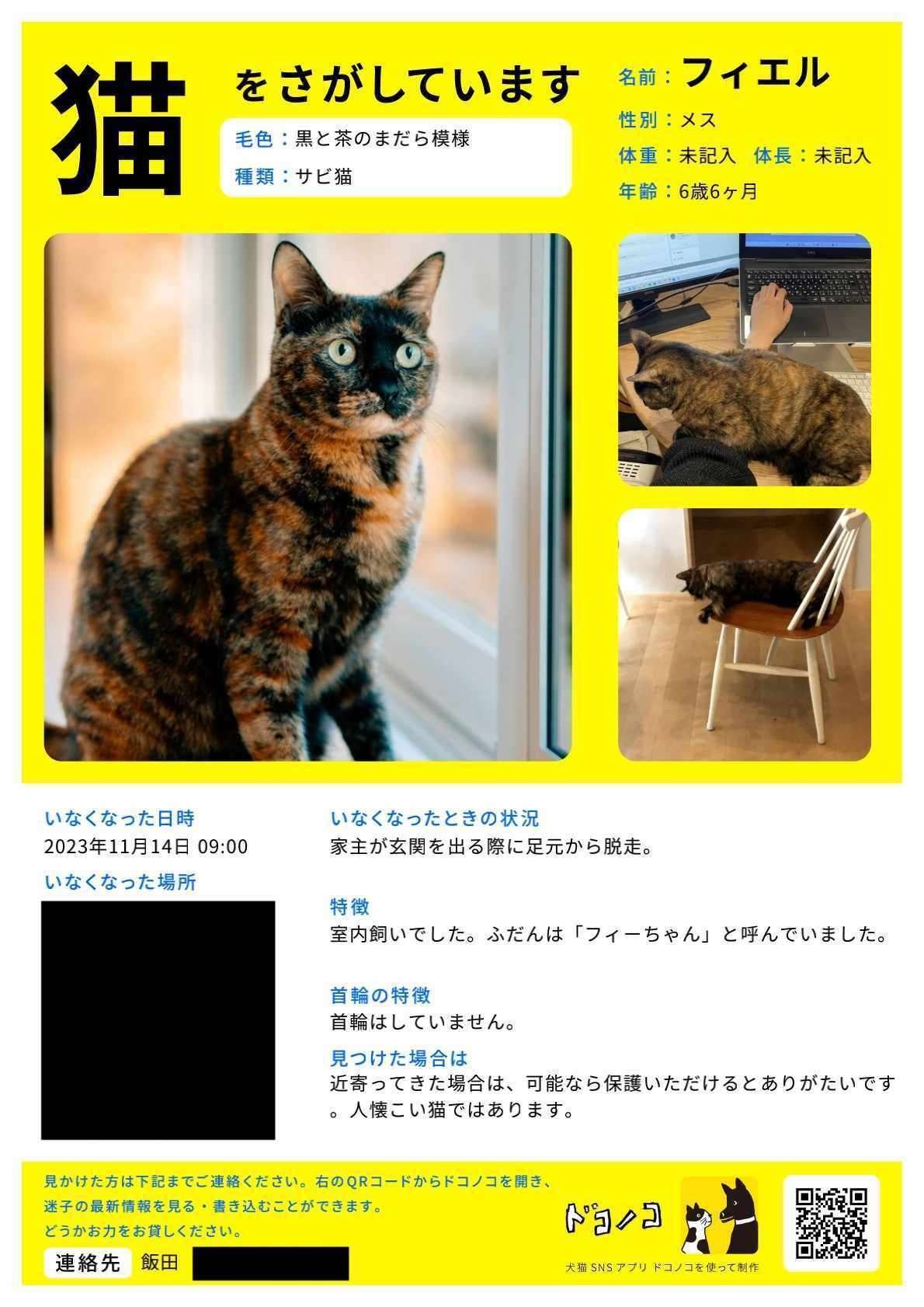 逃げるねこ 楽天市場】【48％引き】 ムサシ 超音波猫よけ 猫しっし（REP-600