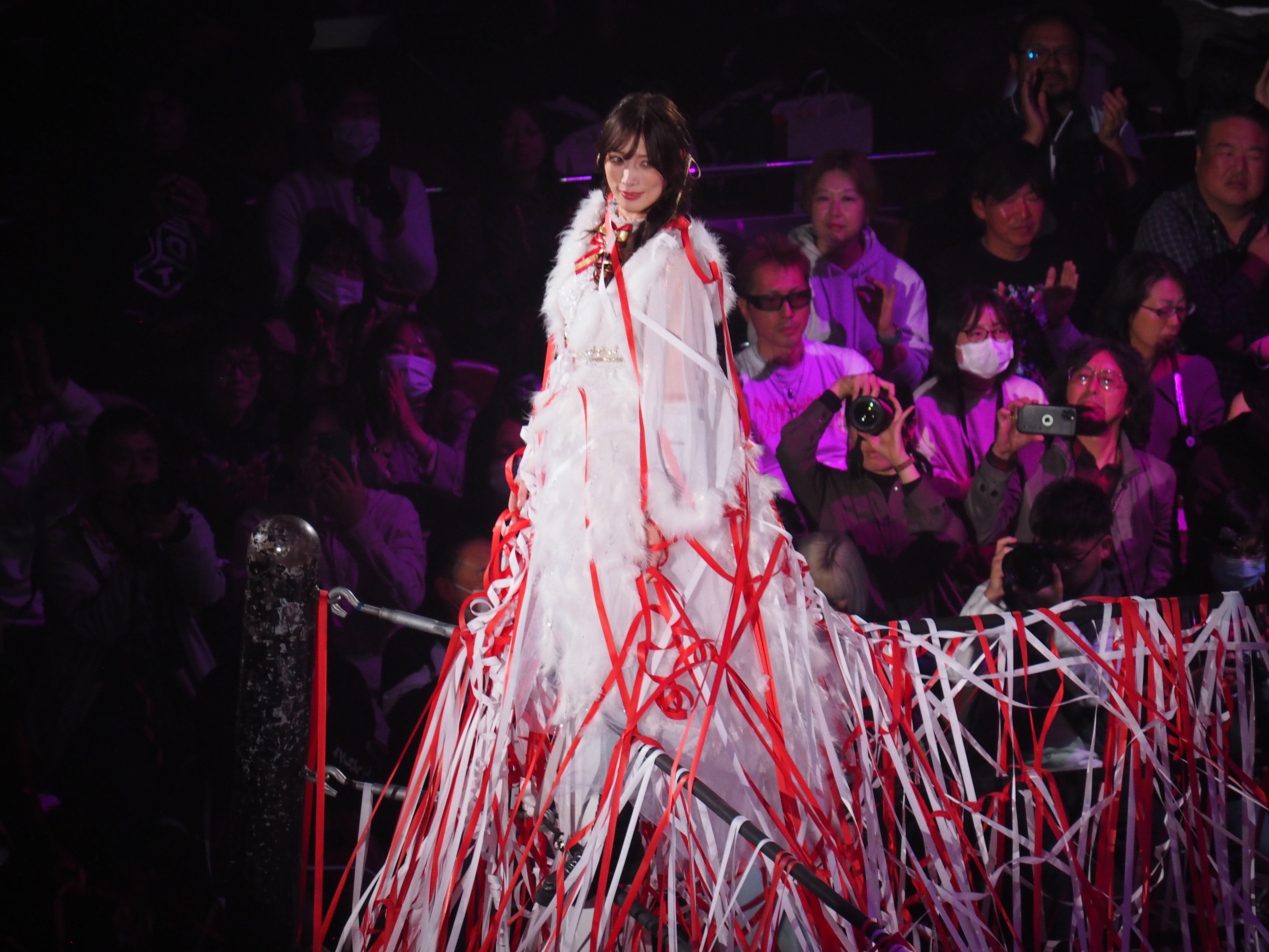 プヲタが本を読んだなら～第5回・『強く、気高く、美しく