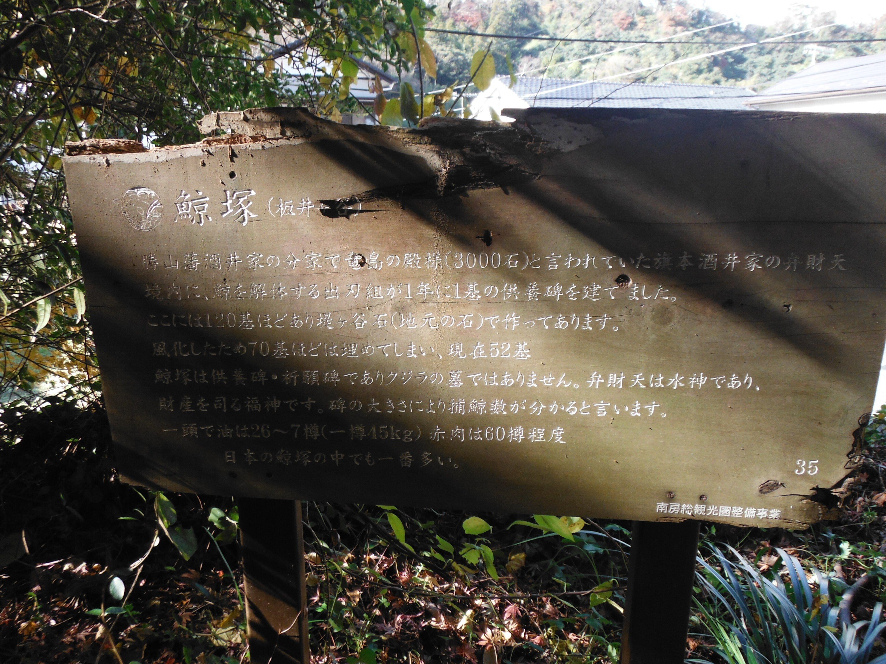 捕鯨を禁じる側の視点を少しだけ読み解く｜夢酔藤山