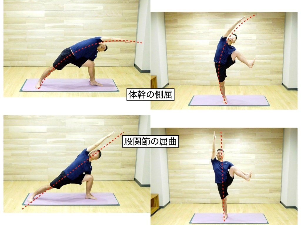 ヨガ日記】必須ですアーサナアナトミカルアプローチ｜Naoto