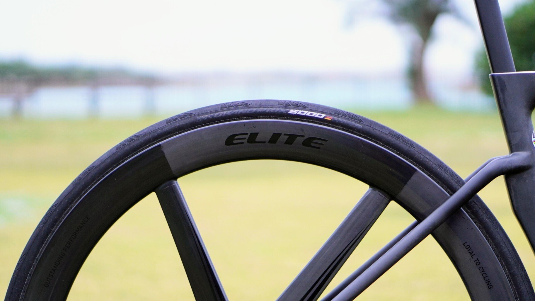 開封・レビュー】Elitewheels新作 Velo Six Discを見てみよう 開封・レビュー】Elitewheels新作 Velo Six Discを見てみよう