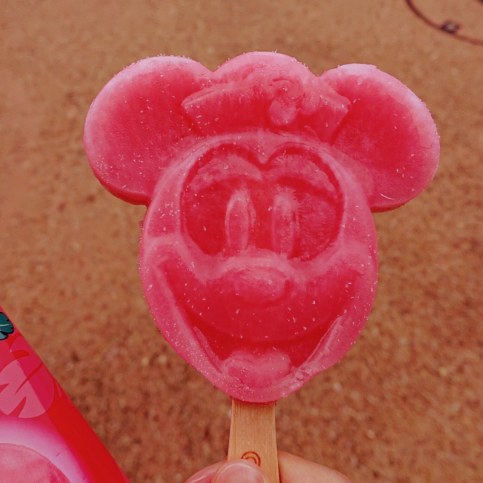 2023/11/19 そうだ、ディズニー飯しよう。｜Fall, image size:2000x1948