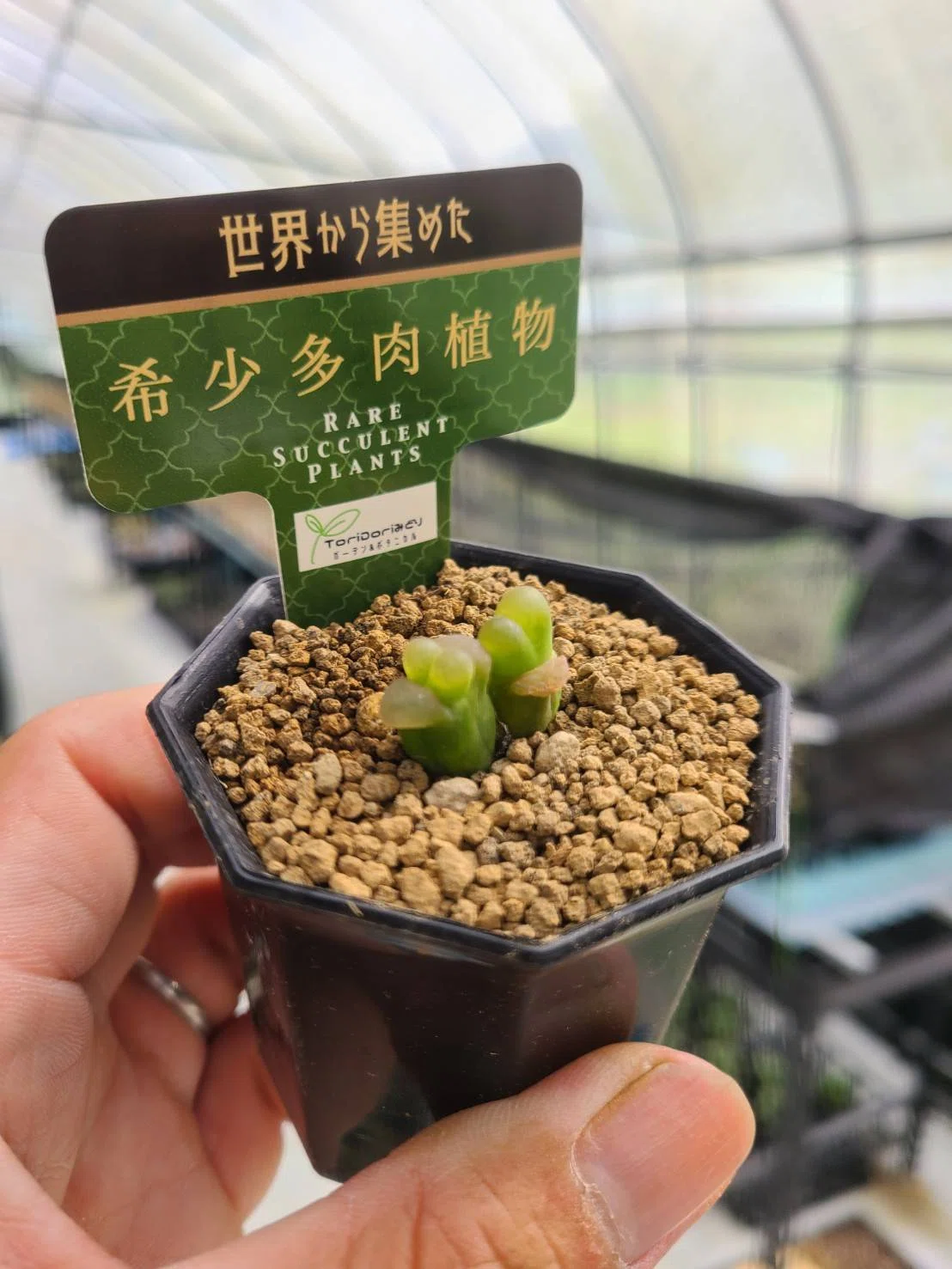 ラベルの種類分けについて「緑ラベル」｜midoritoridori