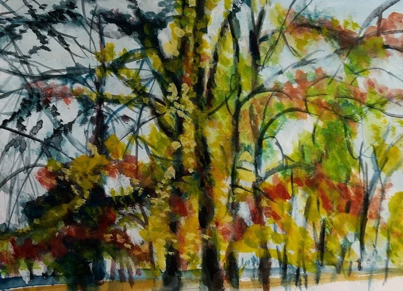 7 月の休暇: 子供が楽しめるブラジルの 5 つの休暇キャンプのオプションをご覧ください