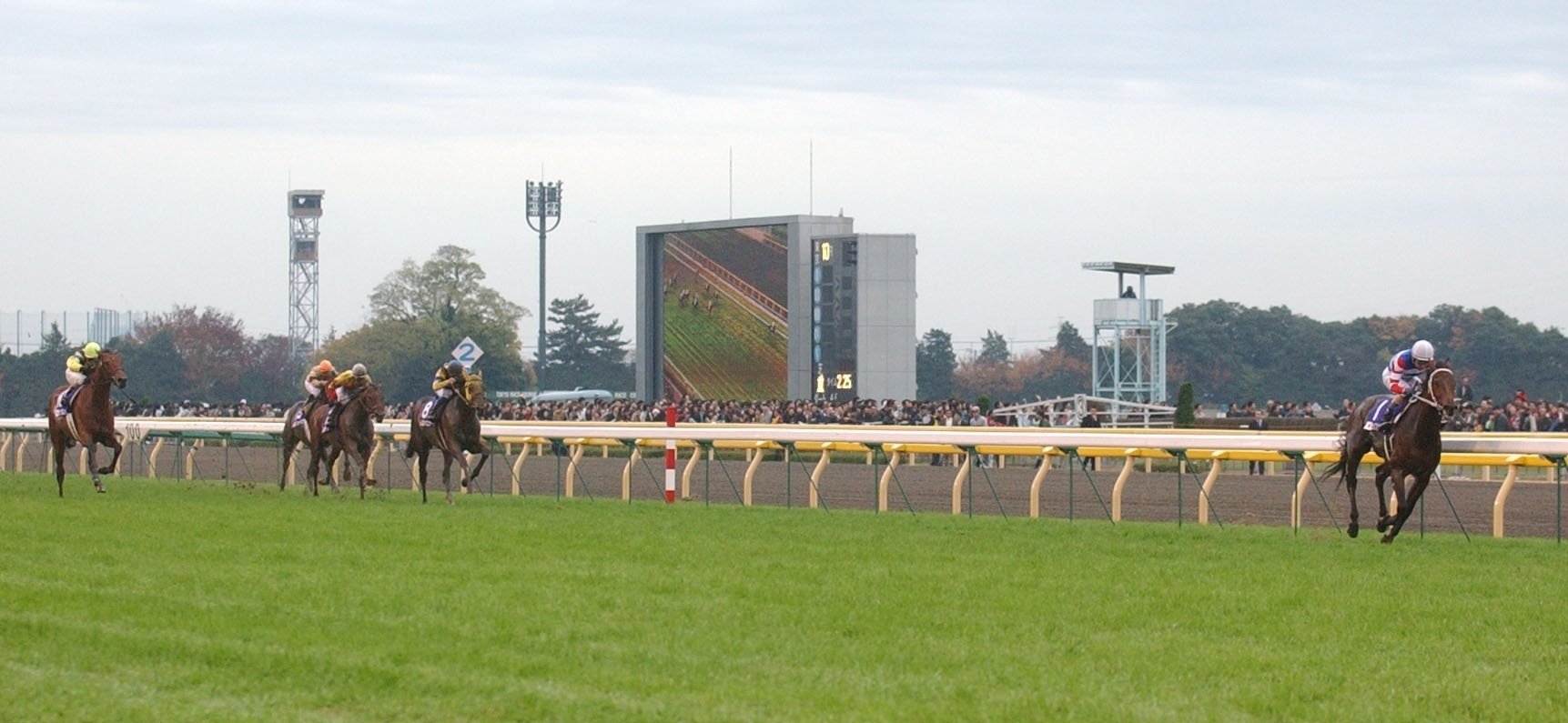 期限切れ単勝馬券】　第23回　ジャパンカップ　タップダンスシチー　ウマ娘 実装即逃げ！「ウマ娘」タップダンスシチーを「東スポ」で