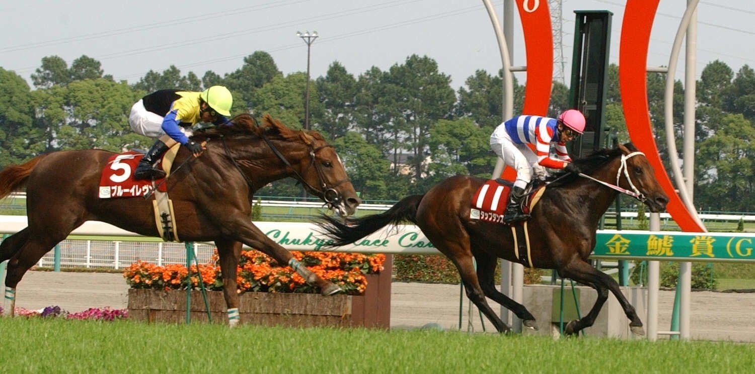 期限切れ単勝馬券】　第23回　ジャパンカップ　タップダンスシチー　ウマ娘 期限切れ単勝馬券】 第23回 ジャパンカップ タップダンスシチー