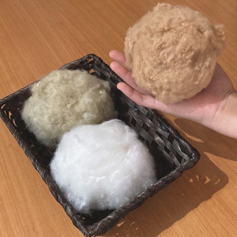 奇跡の布~ふら~私の癌がCTから姿を消した理由|たまひろ(Loko) 奇跡の布~ふら~私の癌がCTから姿を消した理由|たまひろ(Loko)