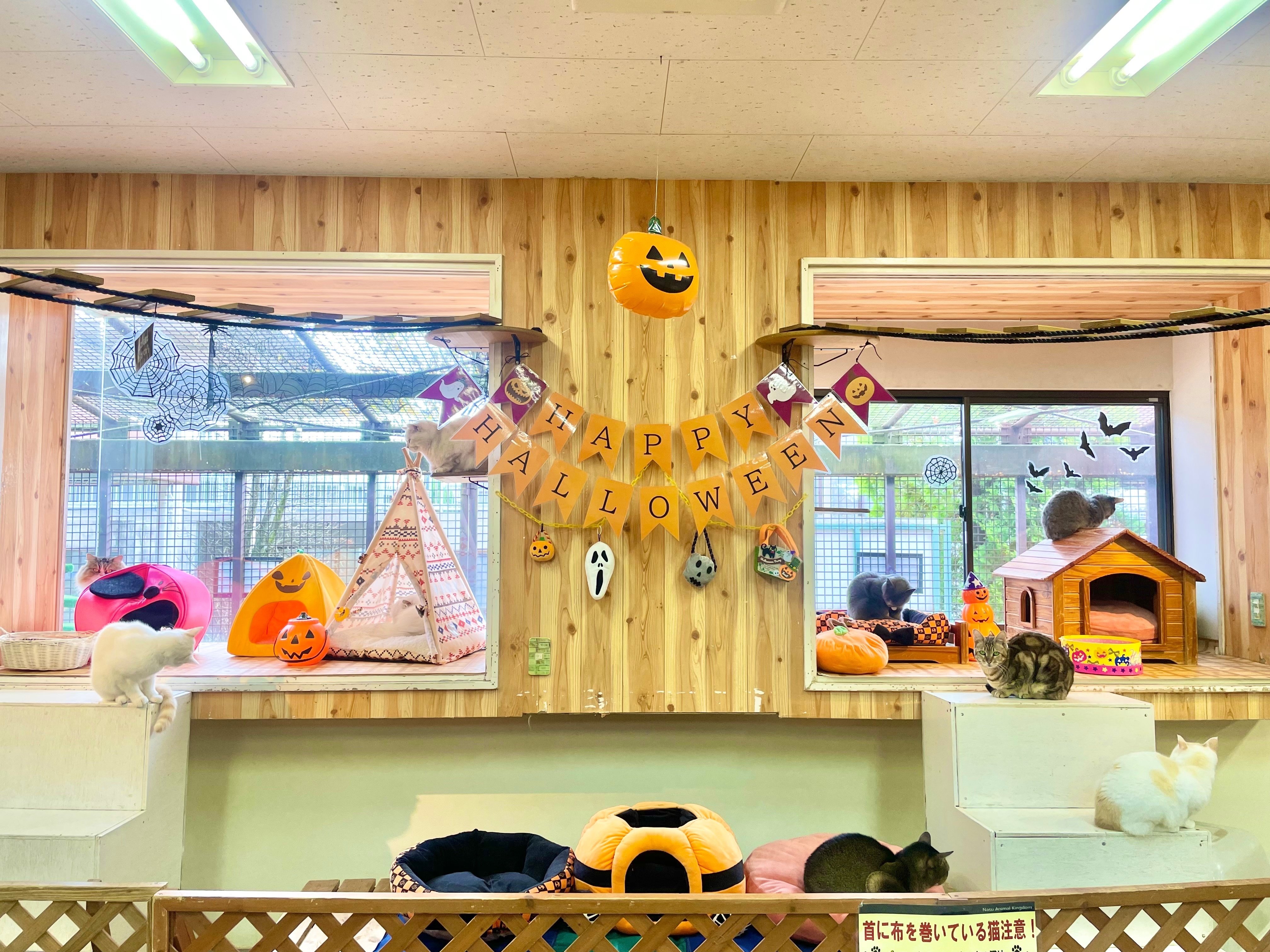 オーダー受付パネル❤︎うたた寝トナカイわんこ 🐶 進化系ベイマックス。 #寝相アート