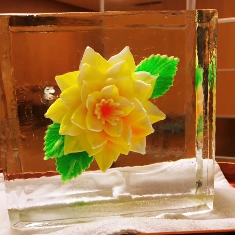 とある介護施設で氷のアートを披露しました！｜小野田の超純氷®【公式】