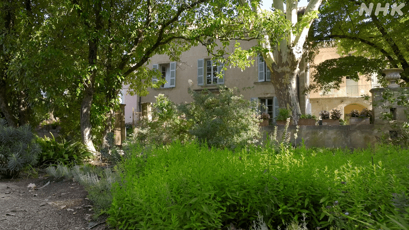 緑豊かなファーブルの庭ごしに向こう側に見える、クリーム色の建物外観