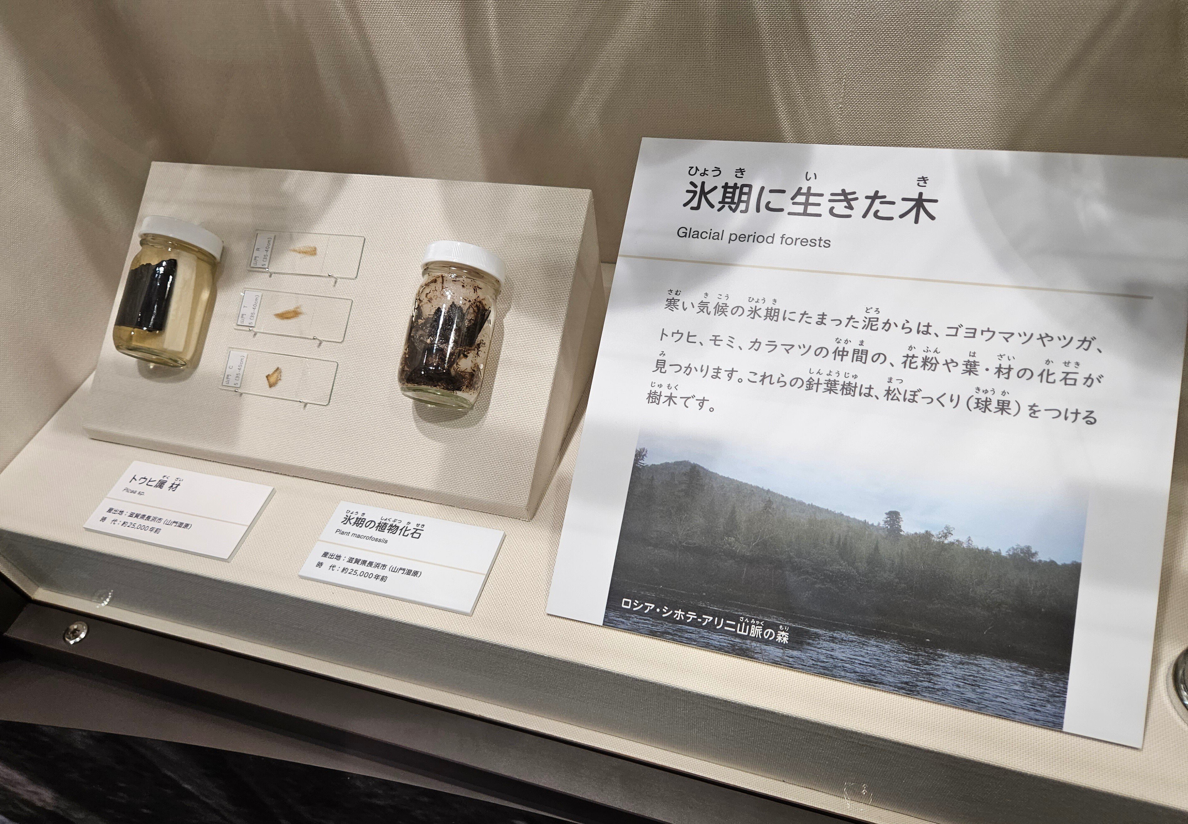 ずっと気になってた 全国自然博物館の旅【10】滋賀県立琵琶湖博物館｜美原さつき その他