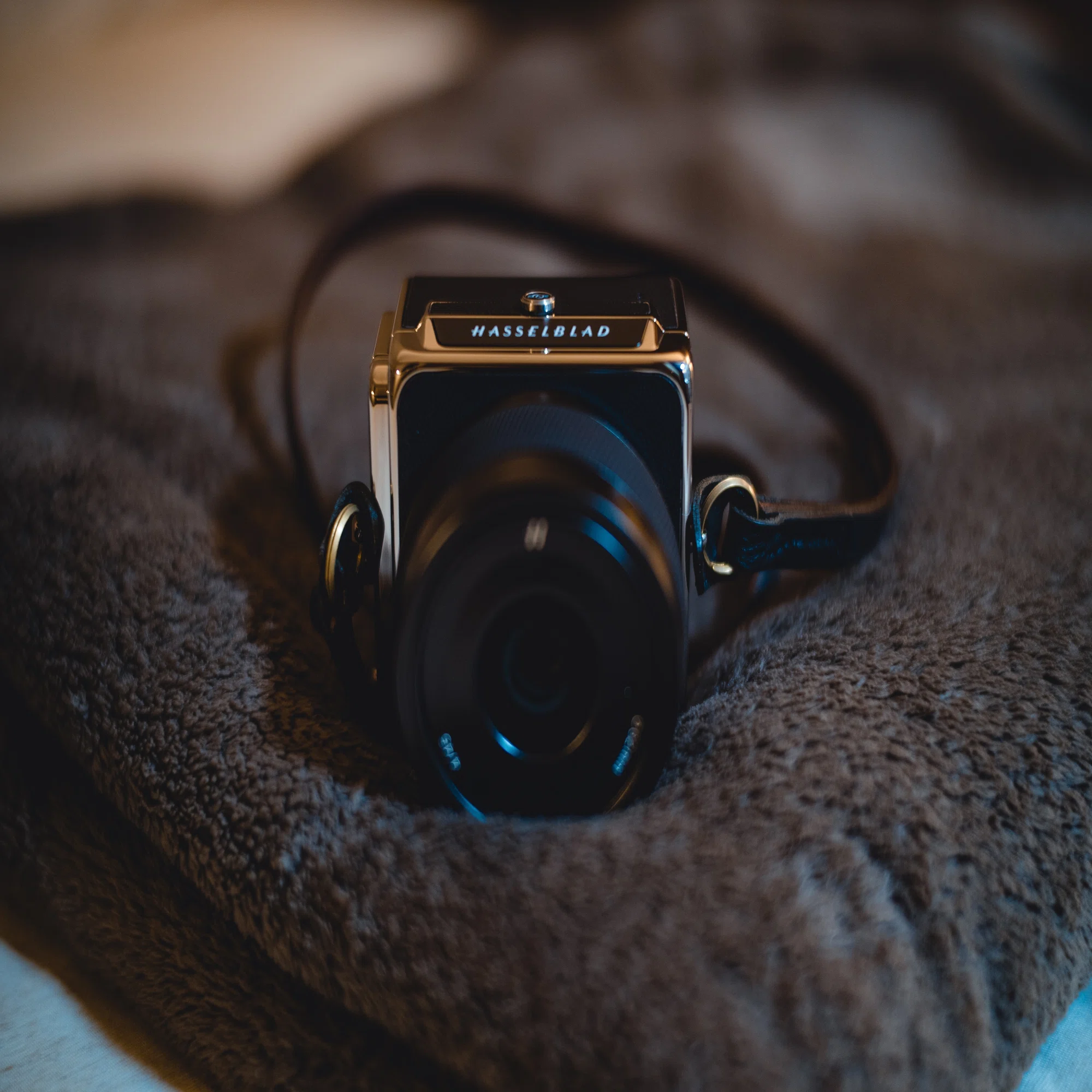 Hasselblad 907X & CFV Ⅱ50Cを買ってみた｜Shogo