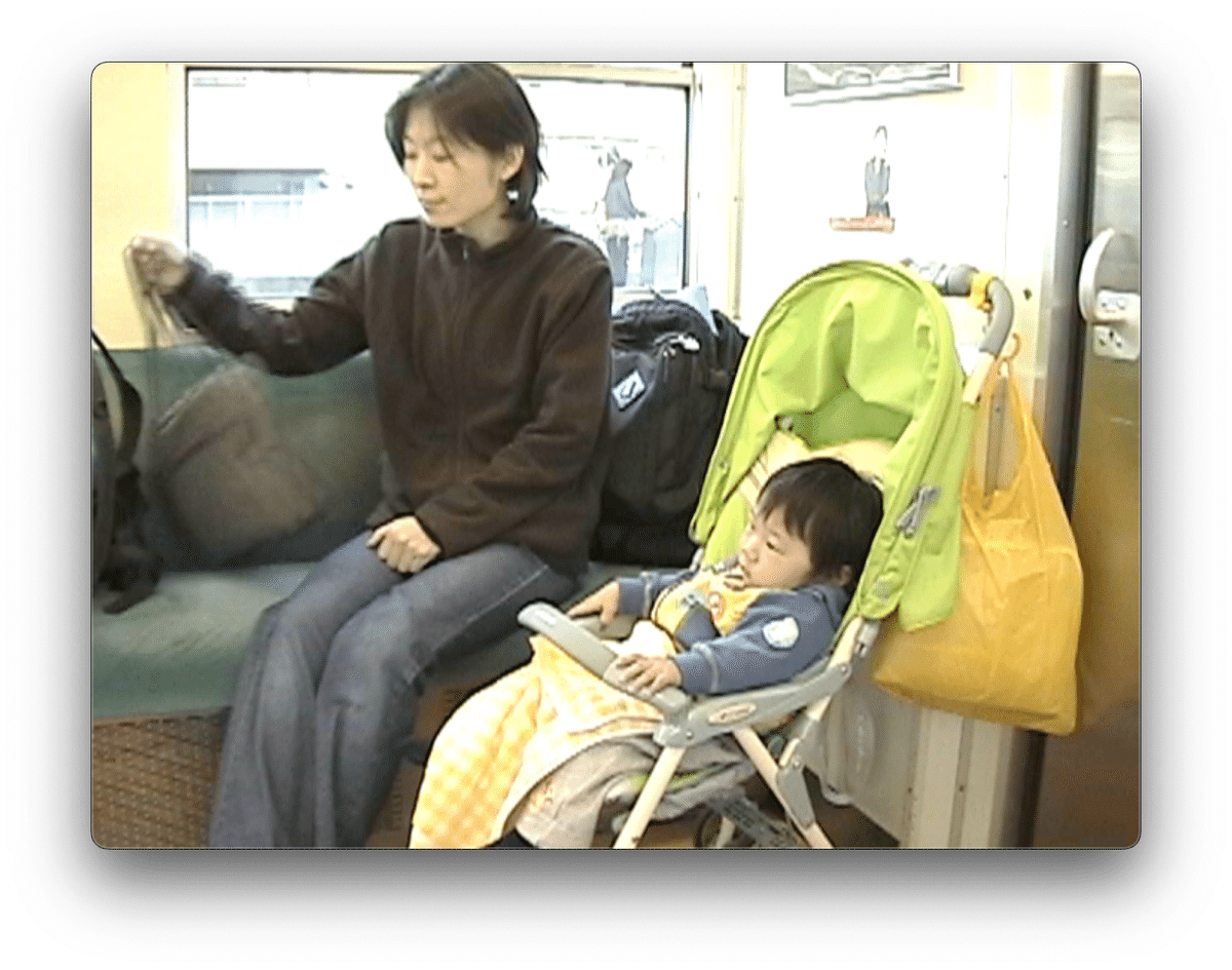 Mac対応 miniDV取り込みフルセット｜A1463含む一式｜すぐ使えます Mac対応 miniDV取り込みフルセット｜A1463含む一式｜すぐ使え