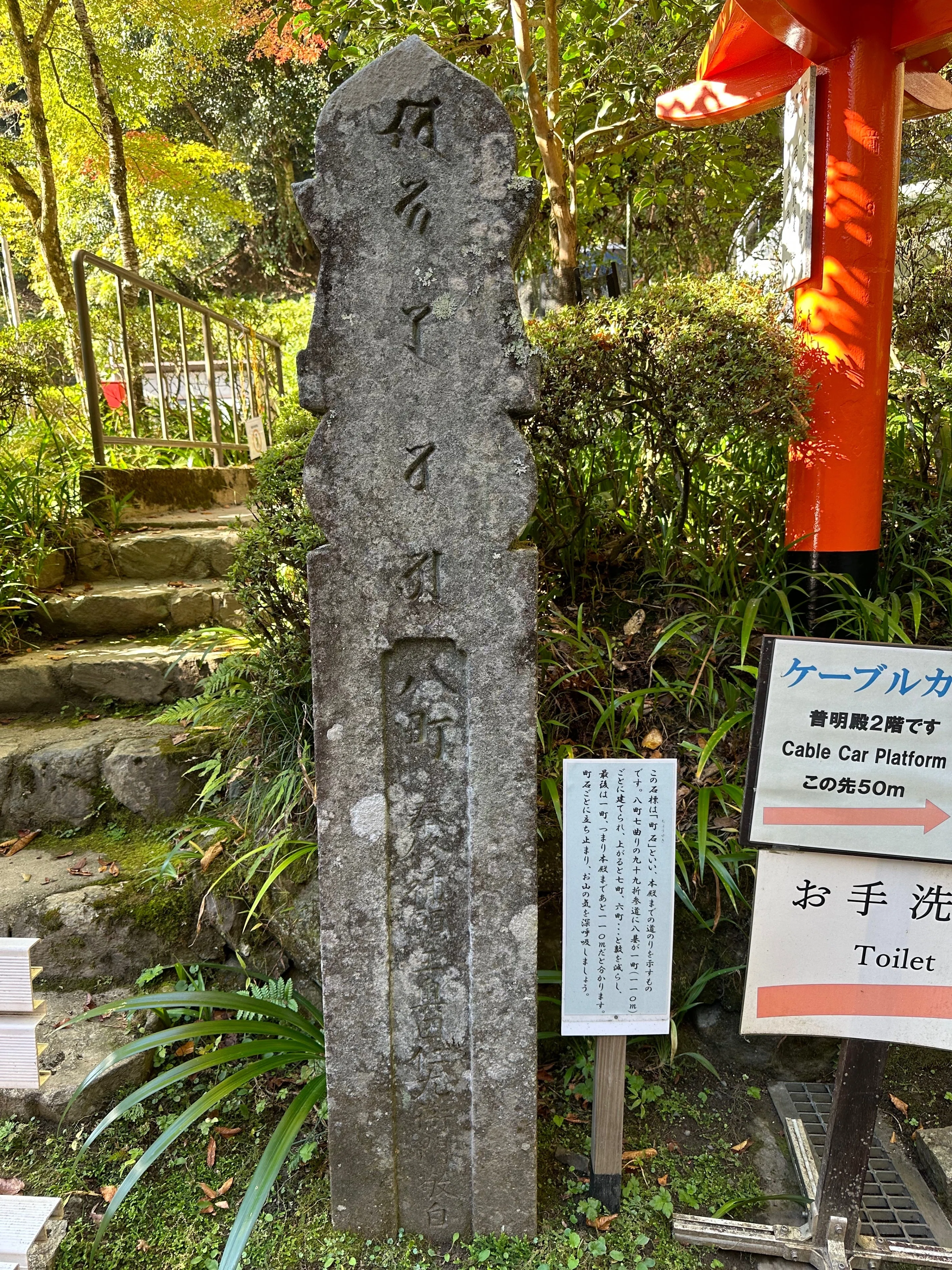 金運爆上げ　京都鞍馬樹齢1000年の御神木が入った　神杉守　特別祈祷　鞍馬寺 Amazon.co.jp: 金運爆上げ 京都鞍馬樹齢1000年の御神木が入った 神杉守