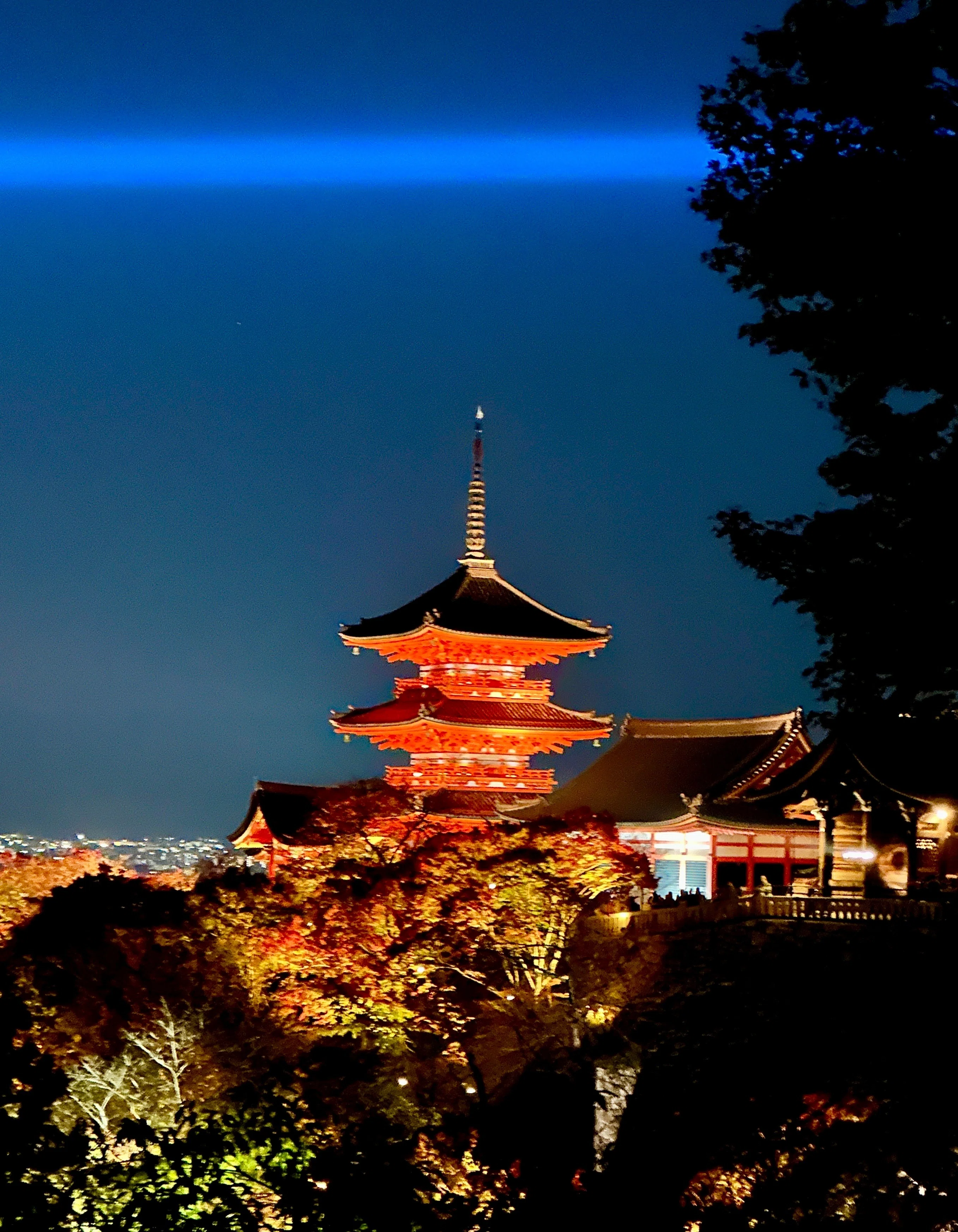 京都時間.jp】第10回 心の平穏と自然の美を再発見 清水寺の紅葉ライト