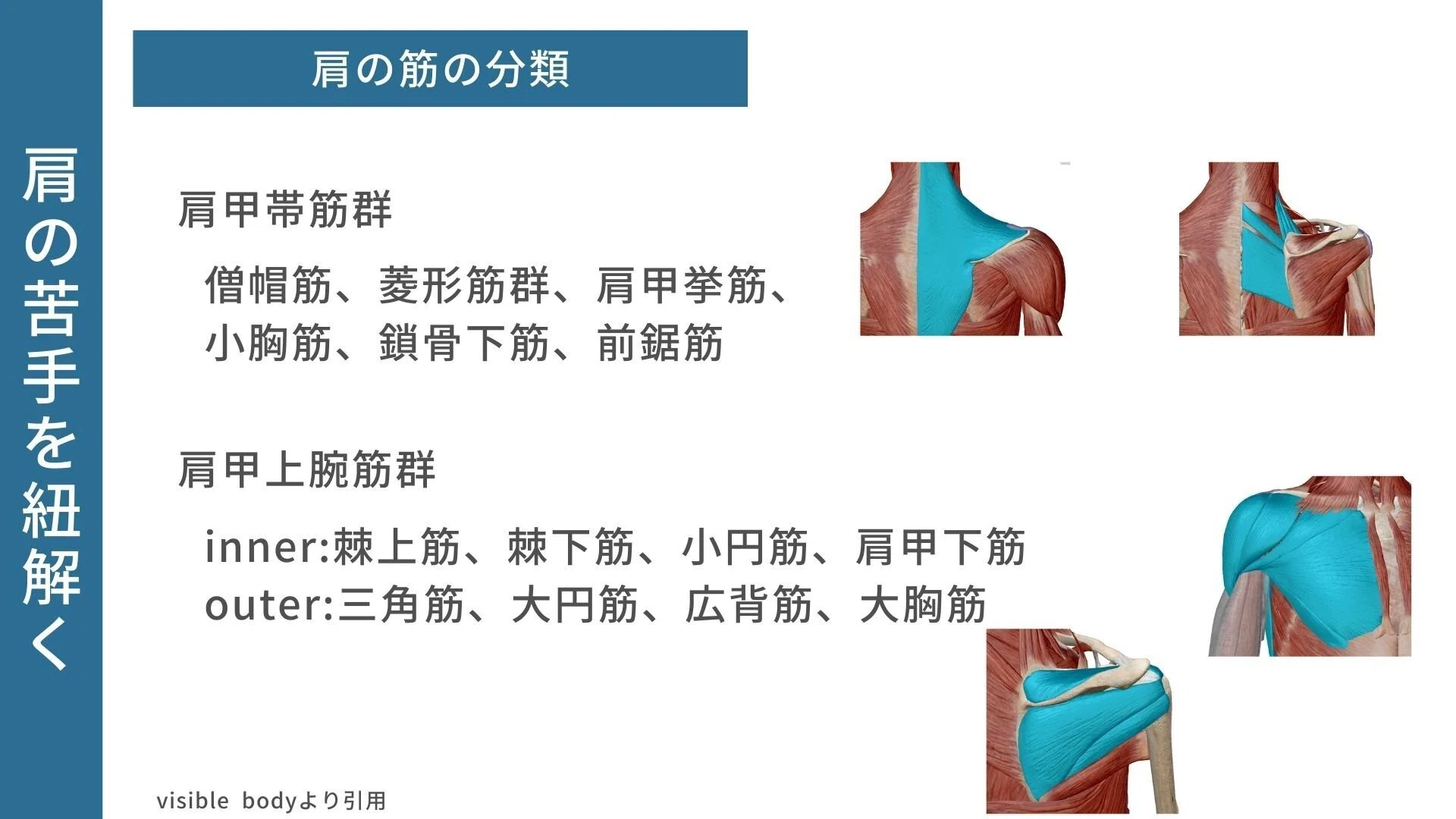 肩関節の苦手を一つずつ紐解く｜理学療法メモ