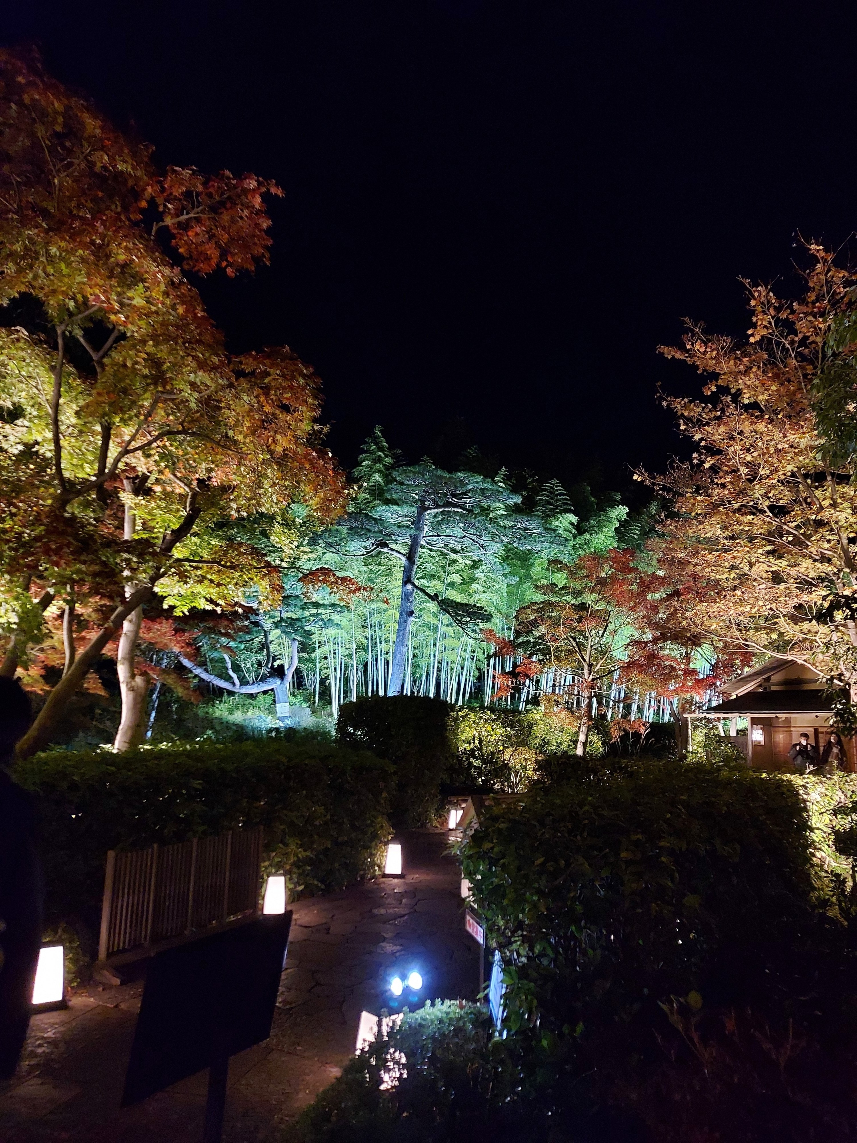 Amazon.co.jp : 中華風提灯 新年祭りの装飾紐の夜の光のための