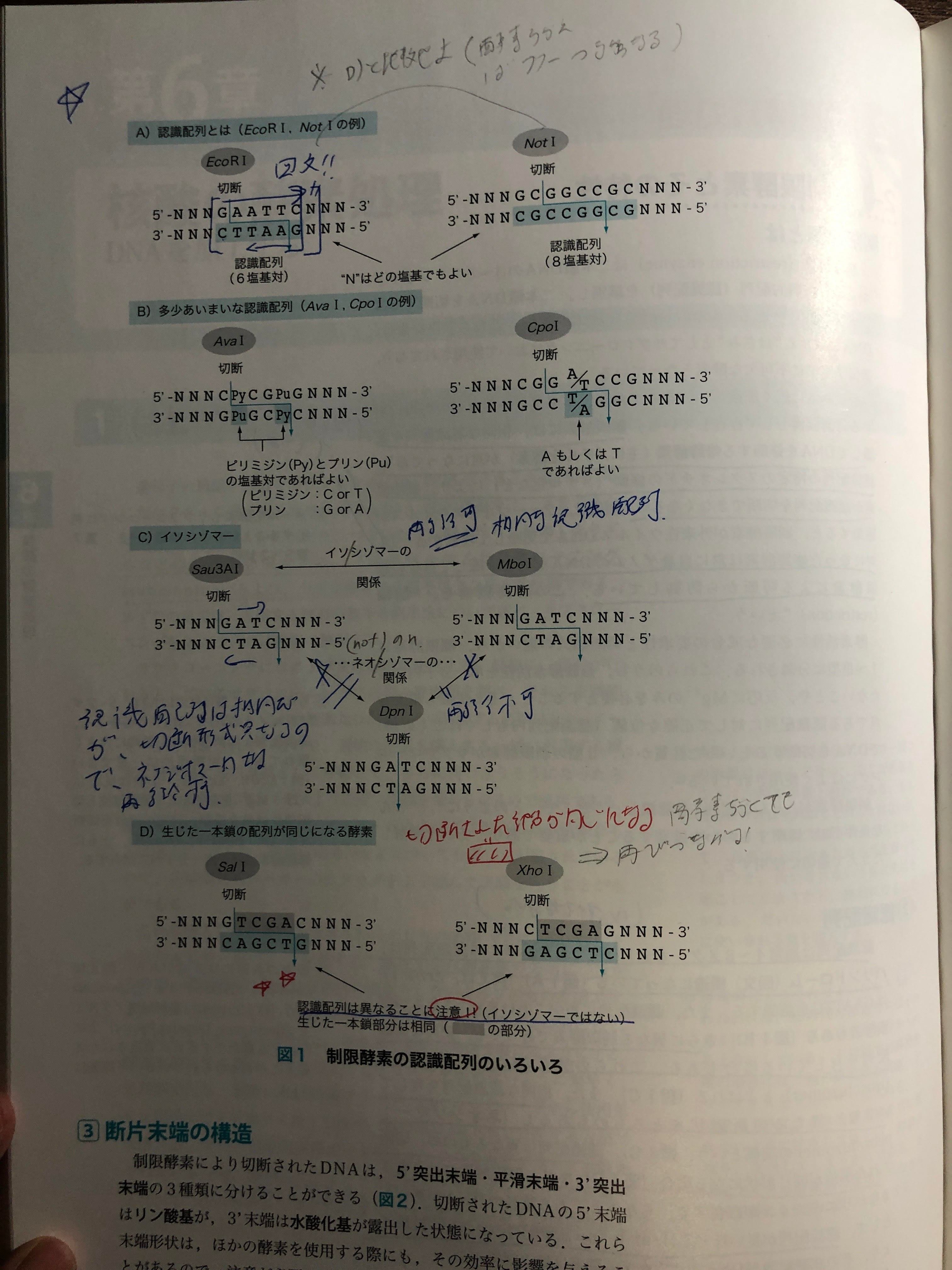 81LRFjPf+CL.jpg