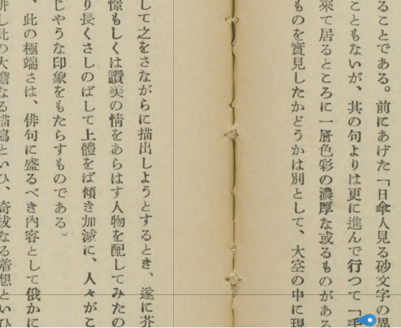 すね長のたむだきながむや蜃気楼 芥川龍之介の俳句をどう読むか