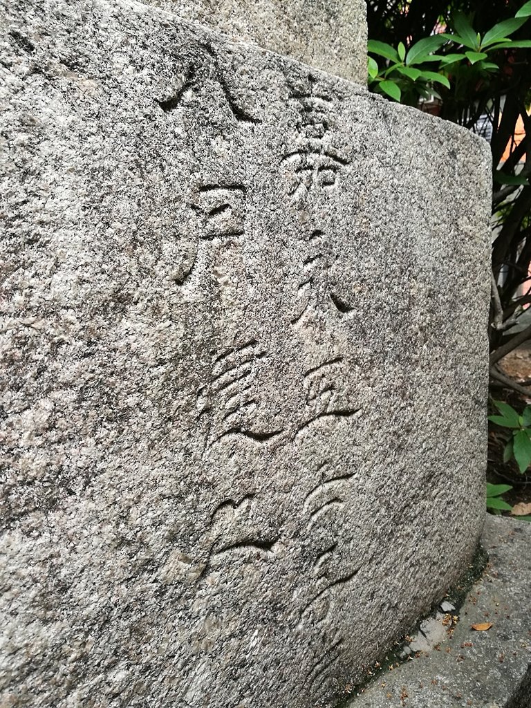【中古】 文鳥様と私 ８/青泉社（千代田区）/今市子 中古】 文鳥様と私 1/青泉社（千代田区）/今市子 Amazon.co.