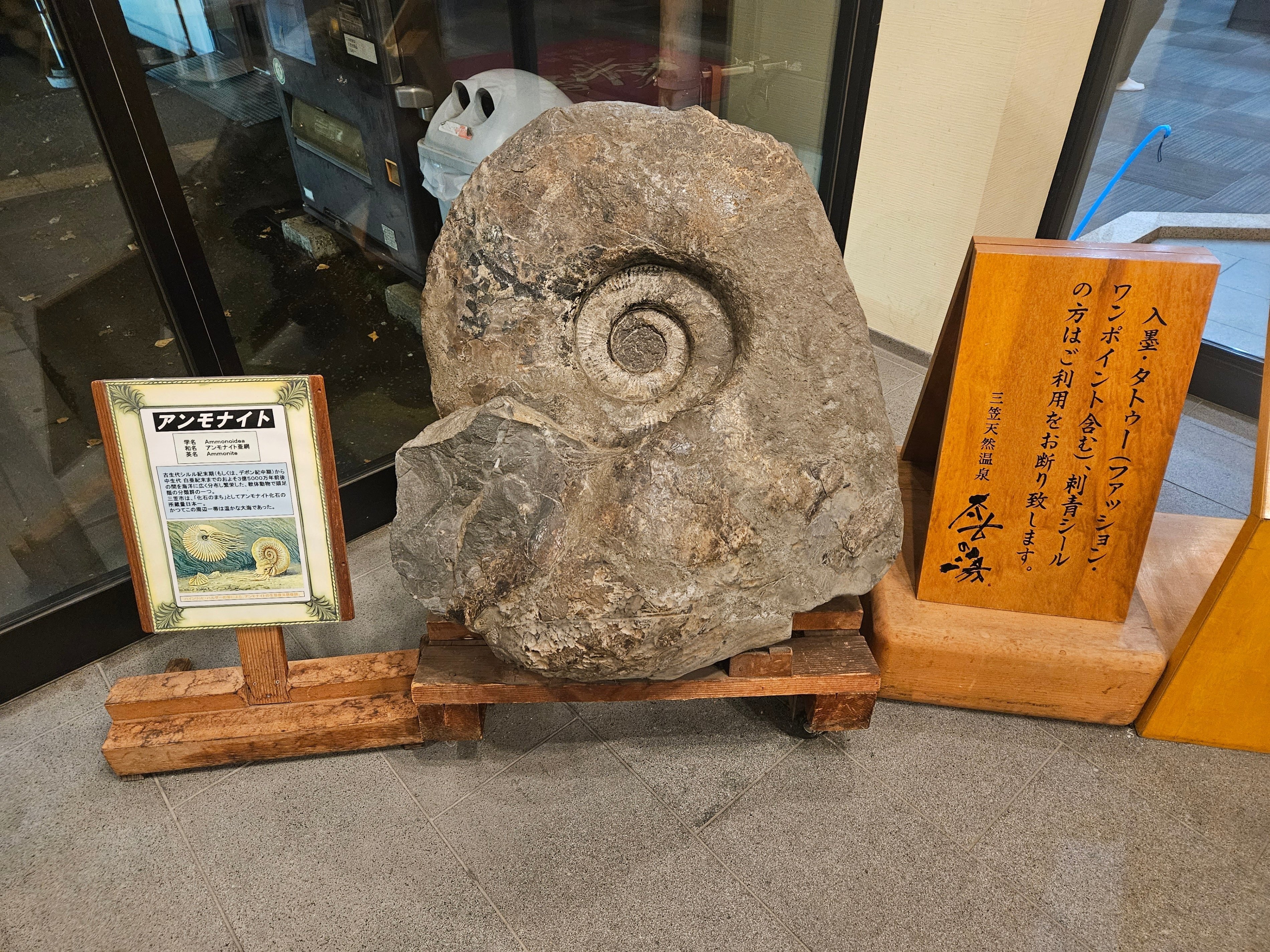 Glp_365480 三笠市立博物館紀要 自然科学 第2号～11号 三笠市立