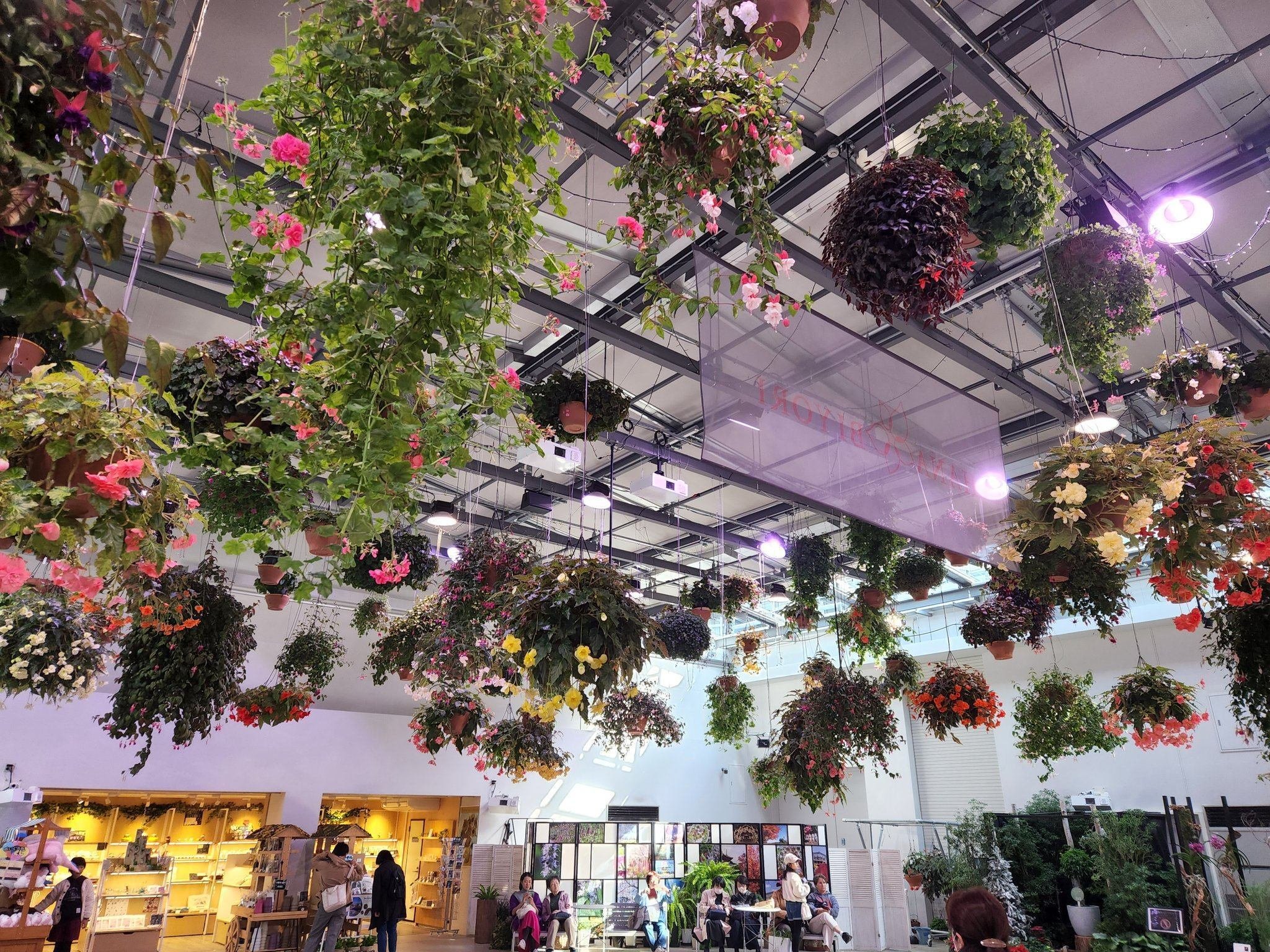 スタバも植物園！「HANA・BIYORI」（はなびより）」で遊んだ【2023年11