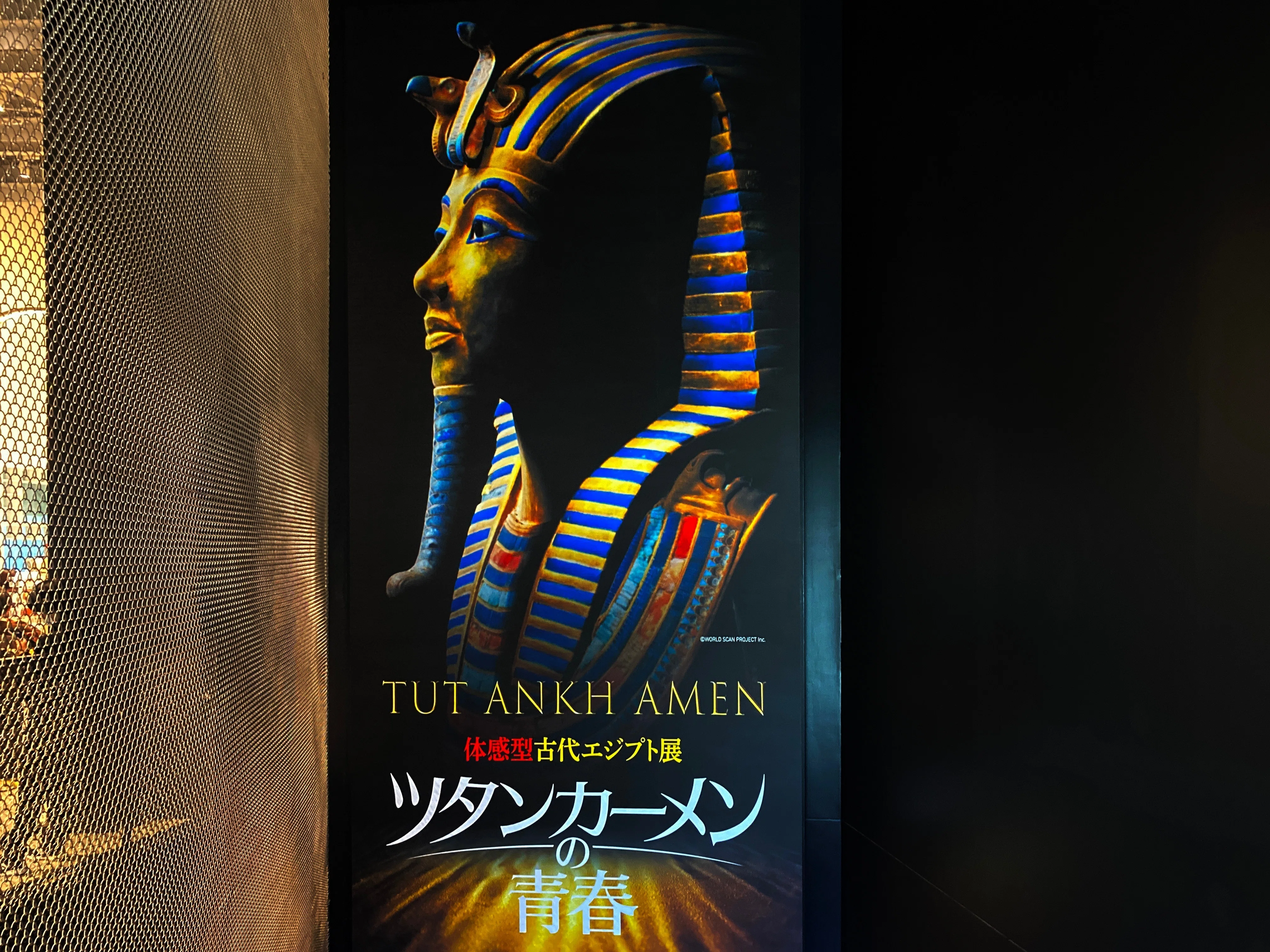 体感型古代エジプト展「ツタンカーメンの青春」を観てきました｜chitoseArk