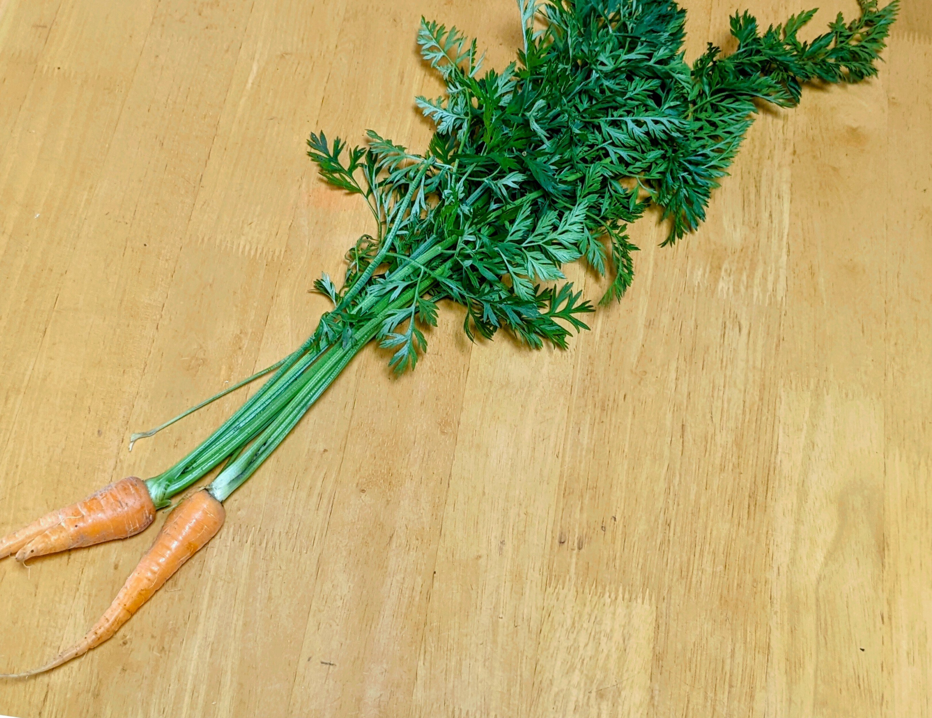 ワタクシ的 人参の葉っぱで作るチヂミの記録｜るこぽ【もっちりした人