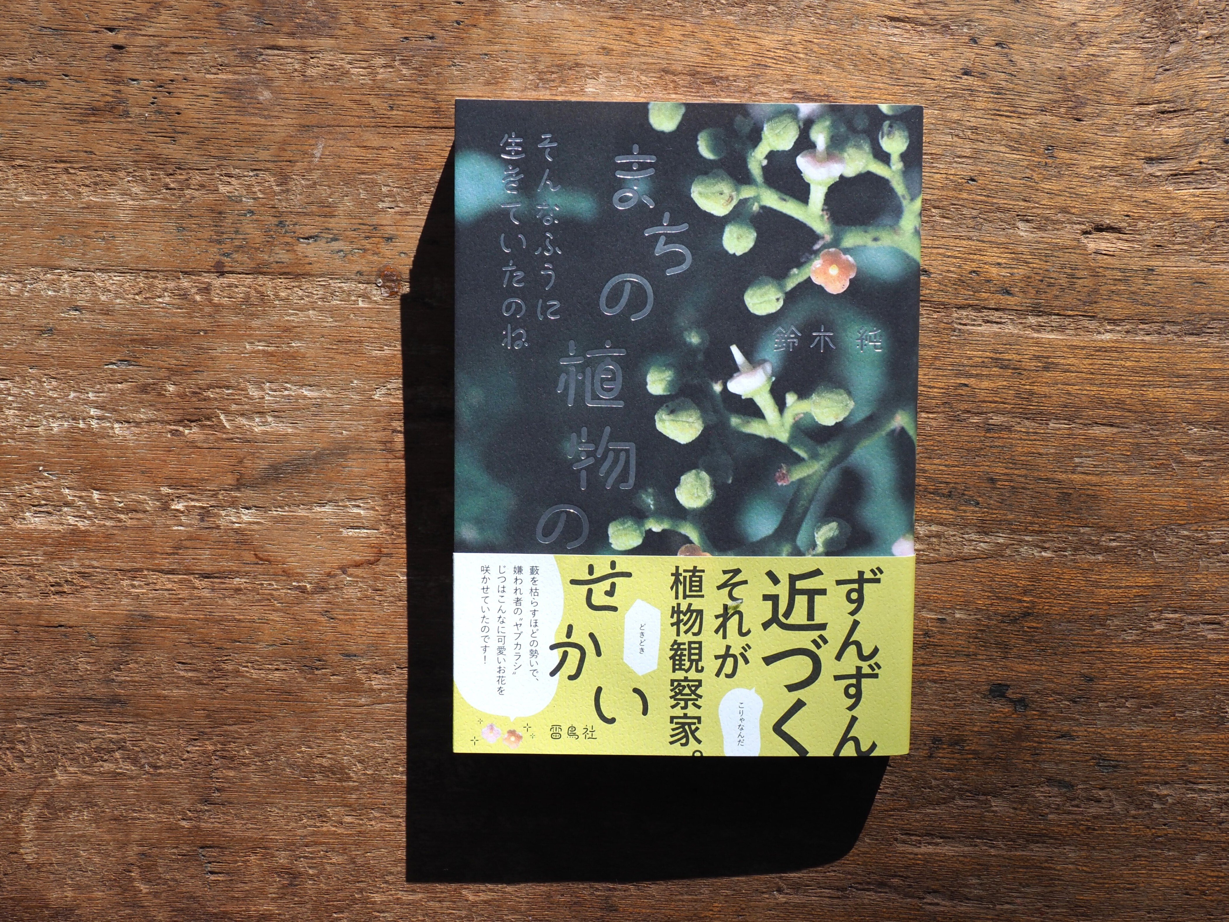 これまでに書いた本の紹介｜鈴木純