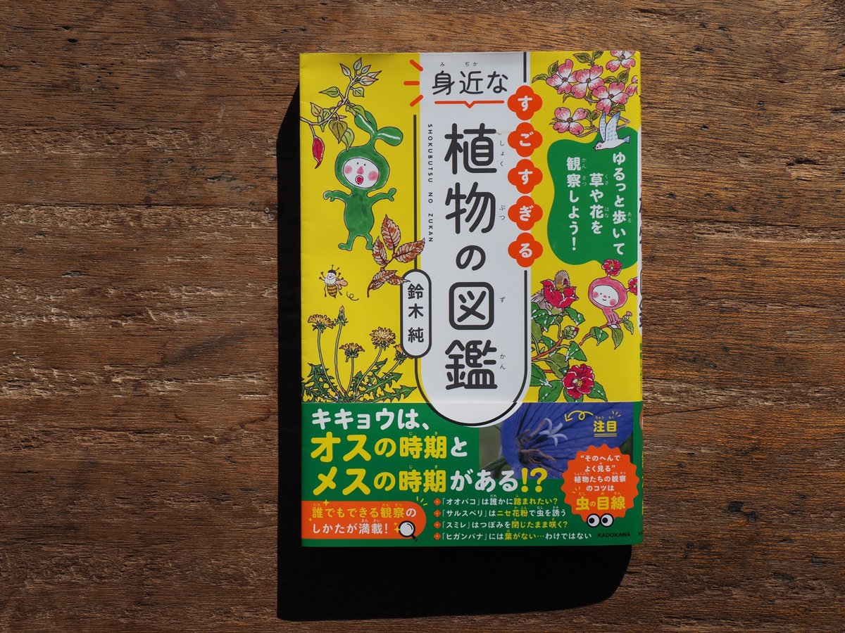 図鑑　五十路　画像 これまでに書いた本の紹介｜鈴木純