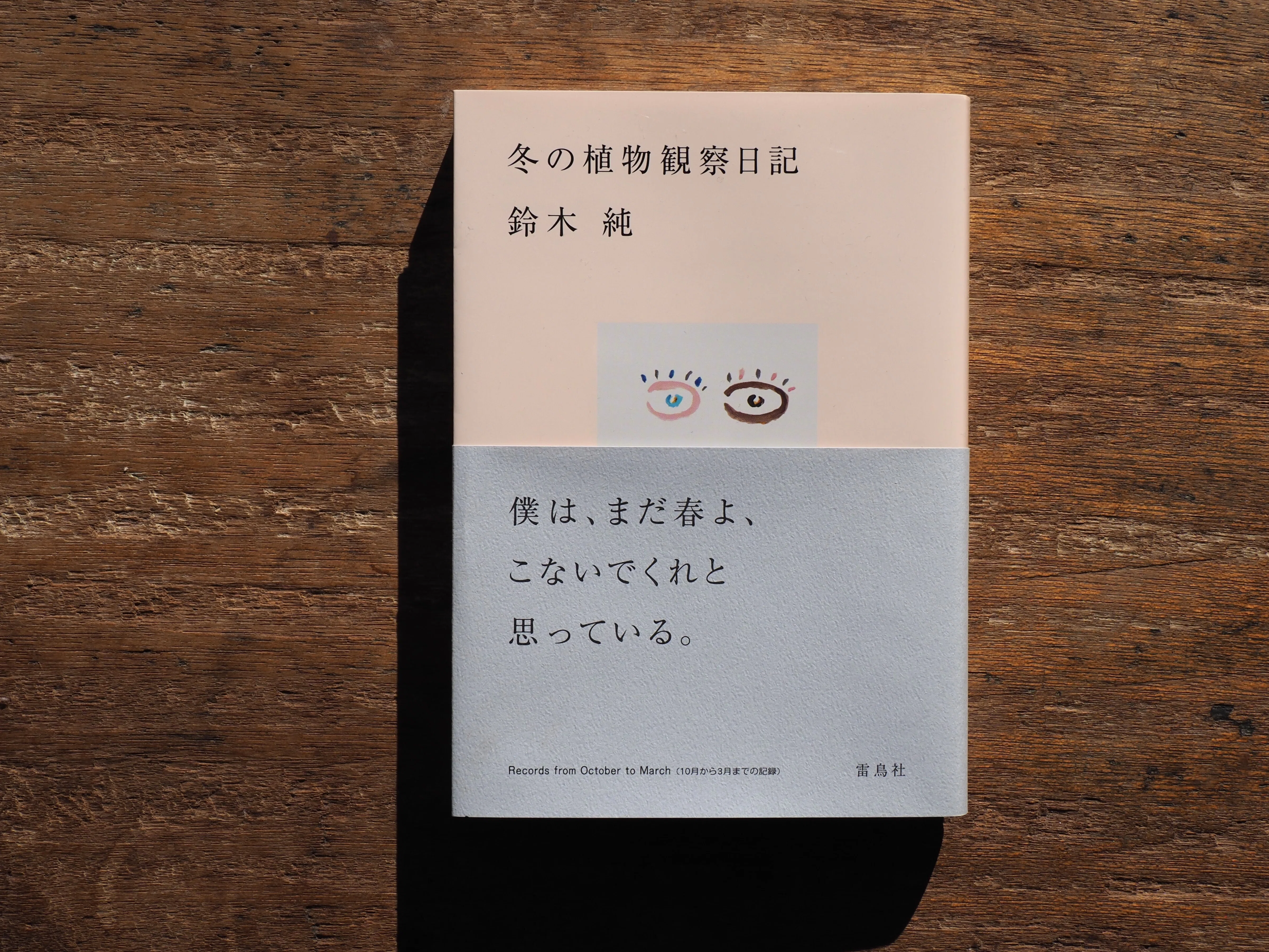 これまでに書いた本の紹介｜鈴木純